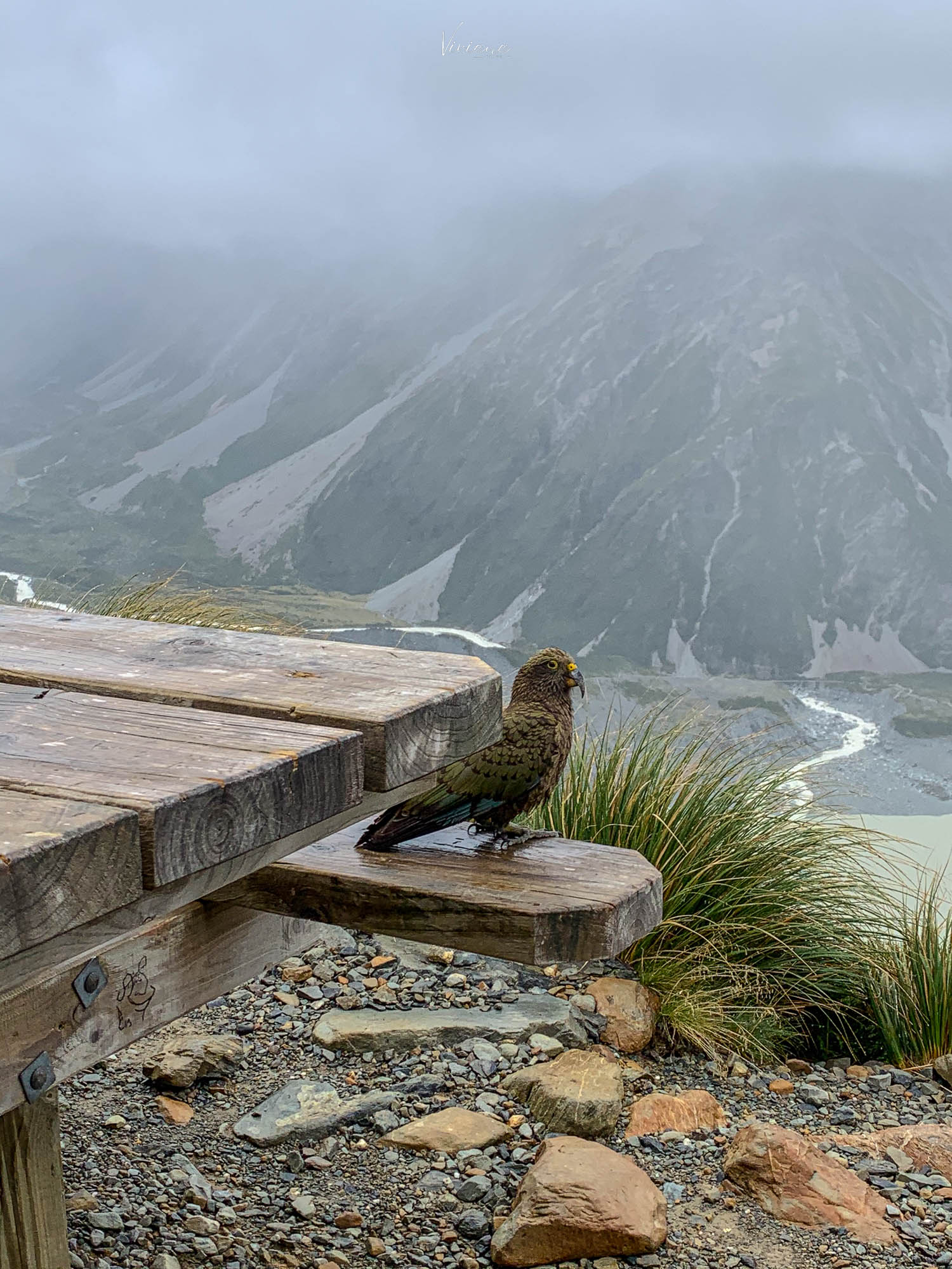 紐西蘭|庫克山 Kea Point 步道輕鬆賞大景! - 第2張圖 mueller hut 步道|庫克山步道|Kea 啄羊鸚鵡