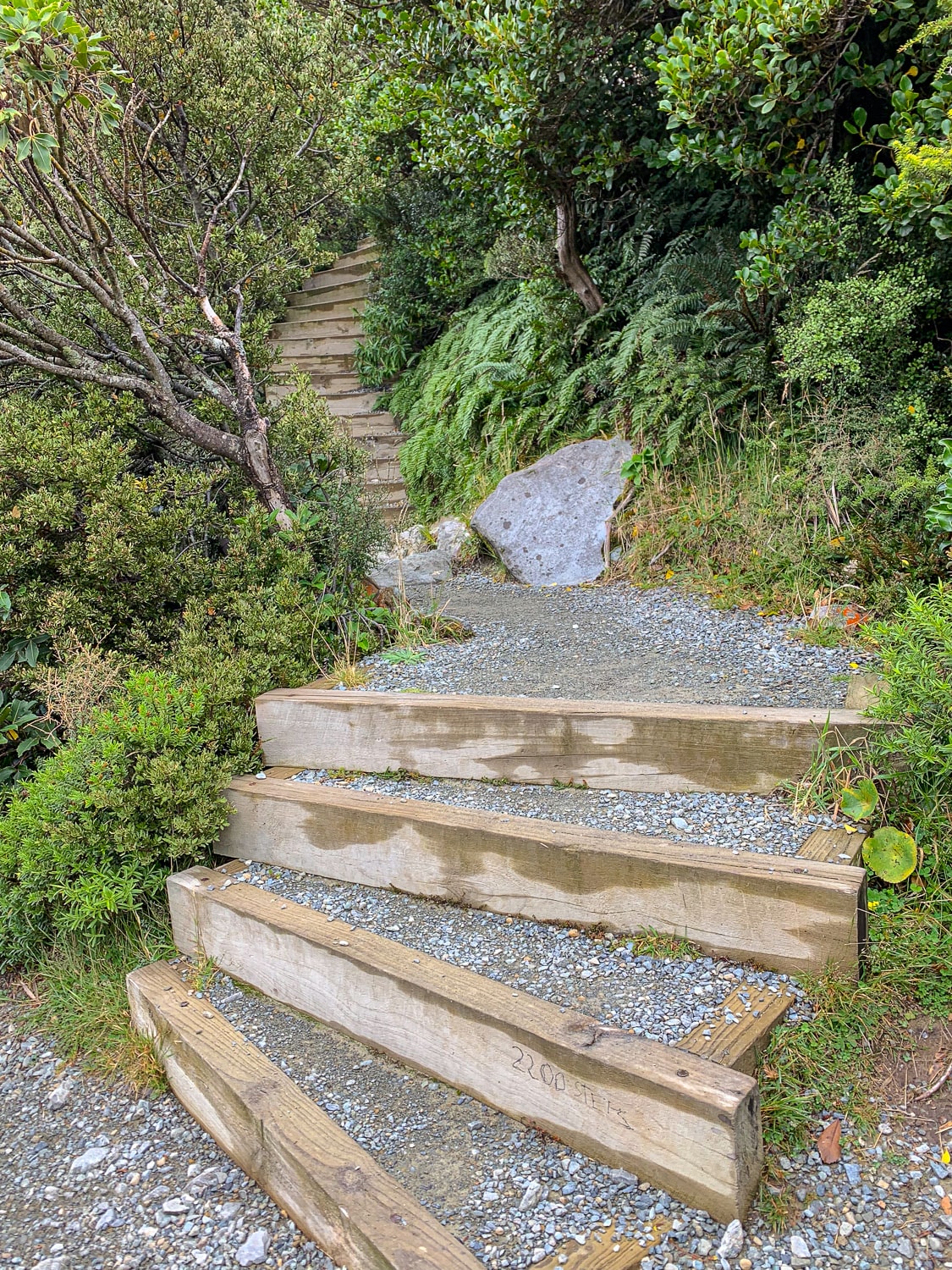 mueller hut 步道｜庫克山步道｜Sealy Tarns 步道