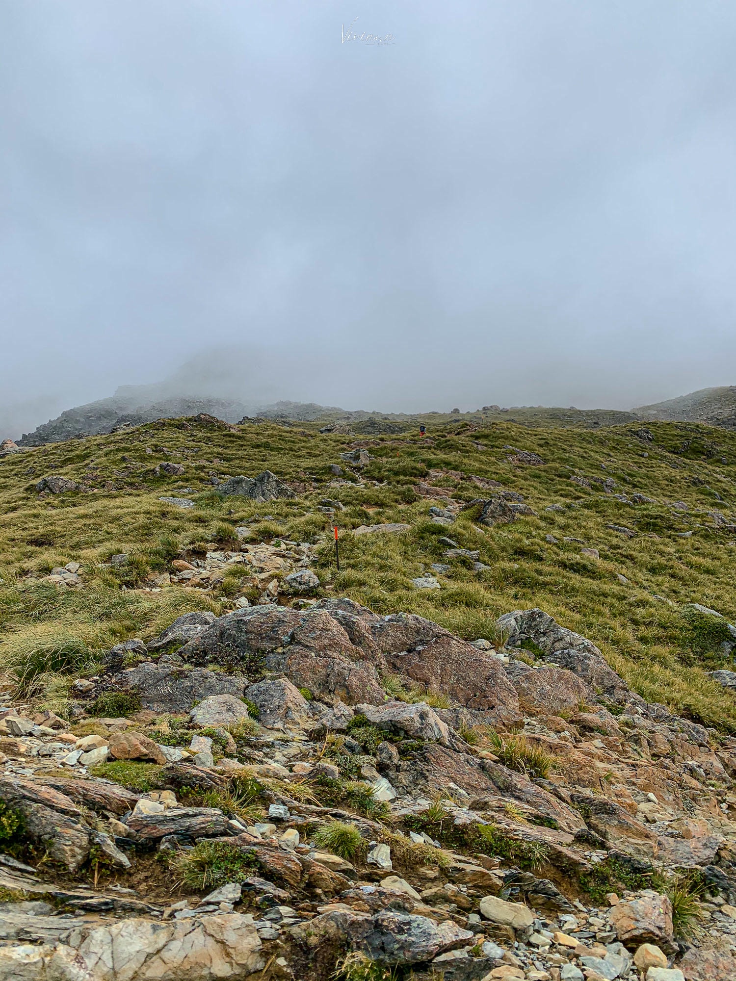 mueller hut 步道｜庫克山步道