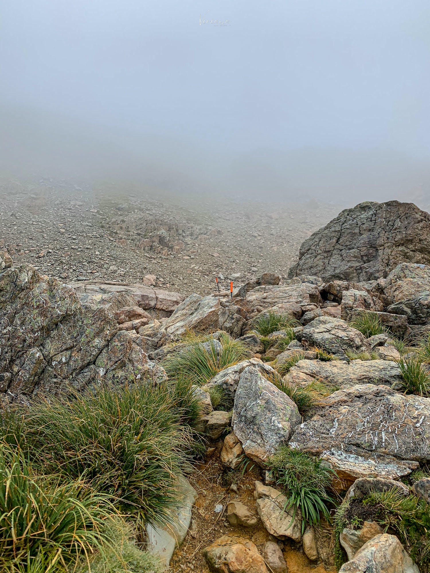 mueller hut 步道｜庫克山步道