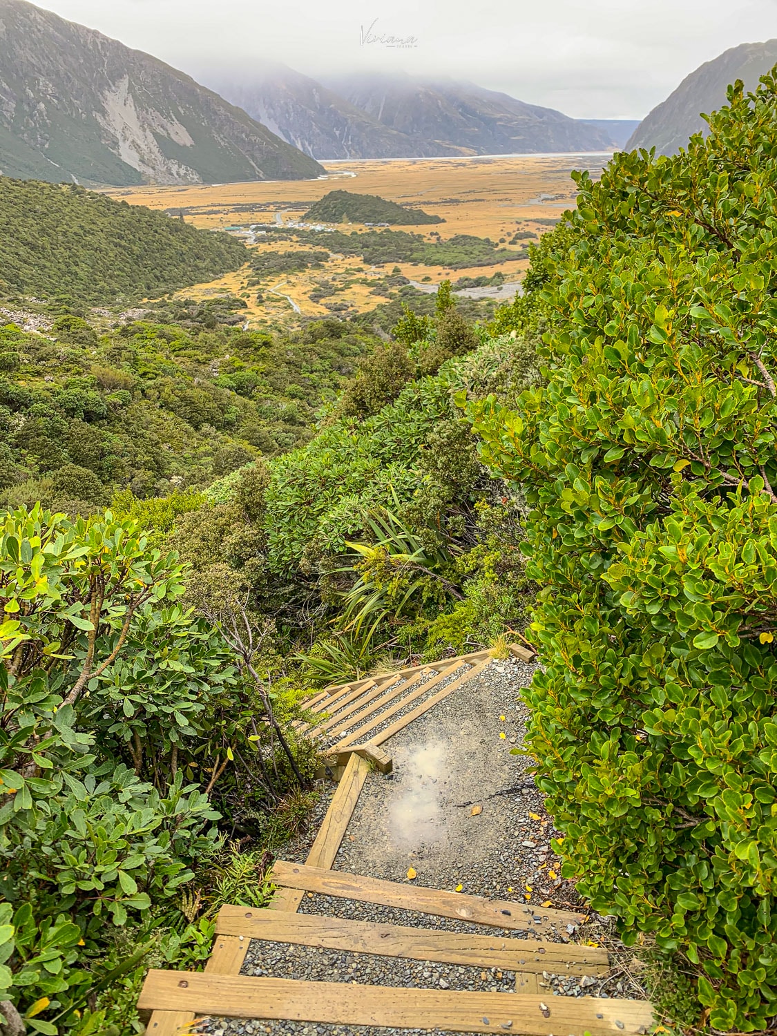 mueller hut 步道｜庫克山步道｜Sealy Tarns 步道
