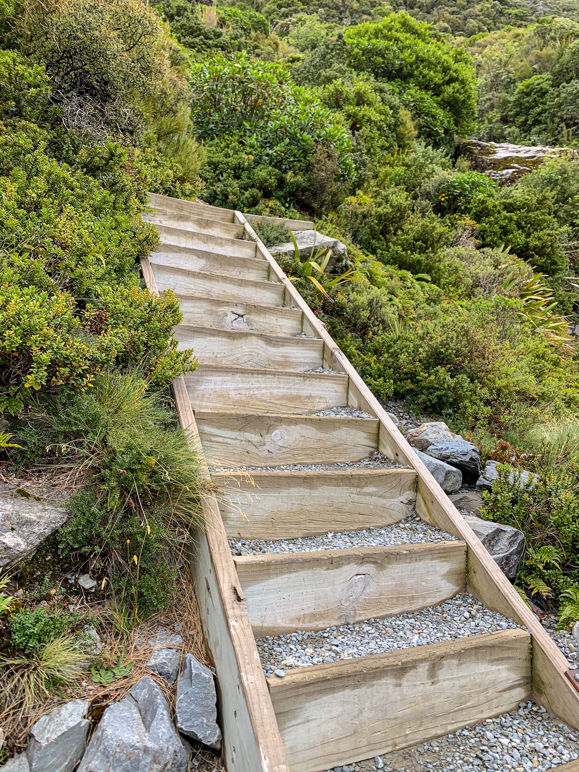 mueller hut 步道｜庫克山步道｜Sealy Tarns 步道