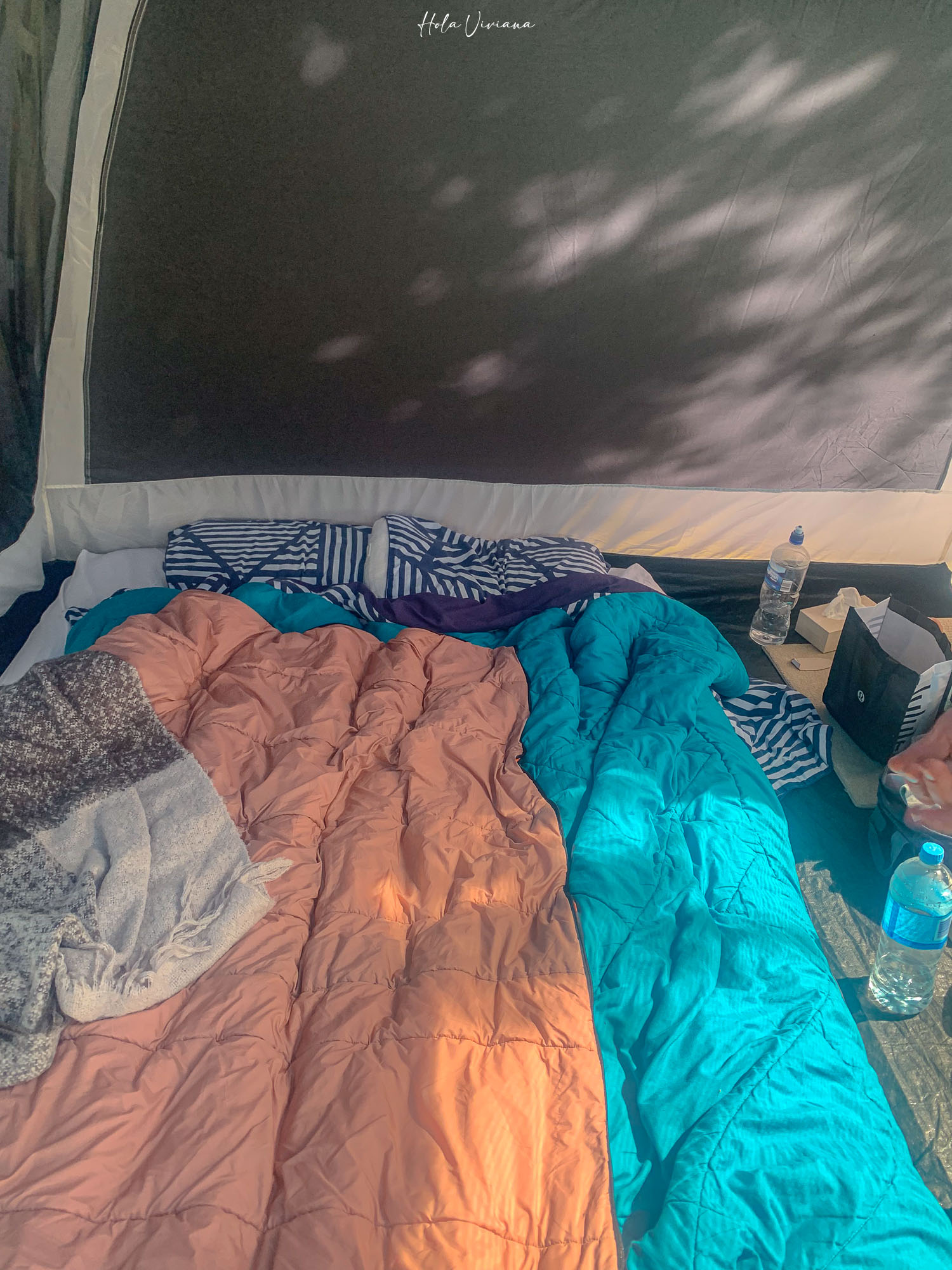 紐西蘭｜最美金色海灘！亞伯塔斯曼國家公園+Kaiteriteri 2 日小旅行