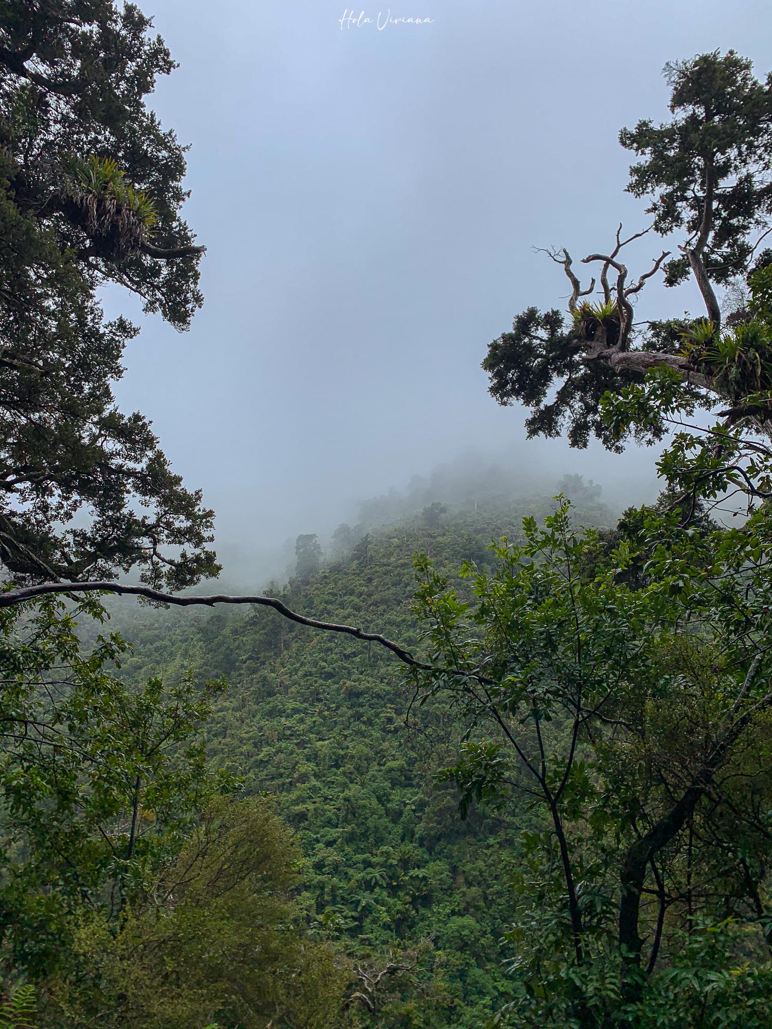 紐西蘭|朝聖 Windows 桌布拍攝地 Wharariki Beach|Golden Bay 二日遊 - 第9張圖 Takaka 景點 Rawhiti Cave 鐘乳石洞