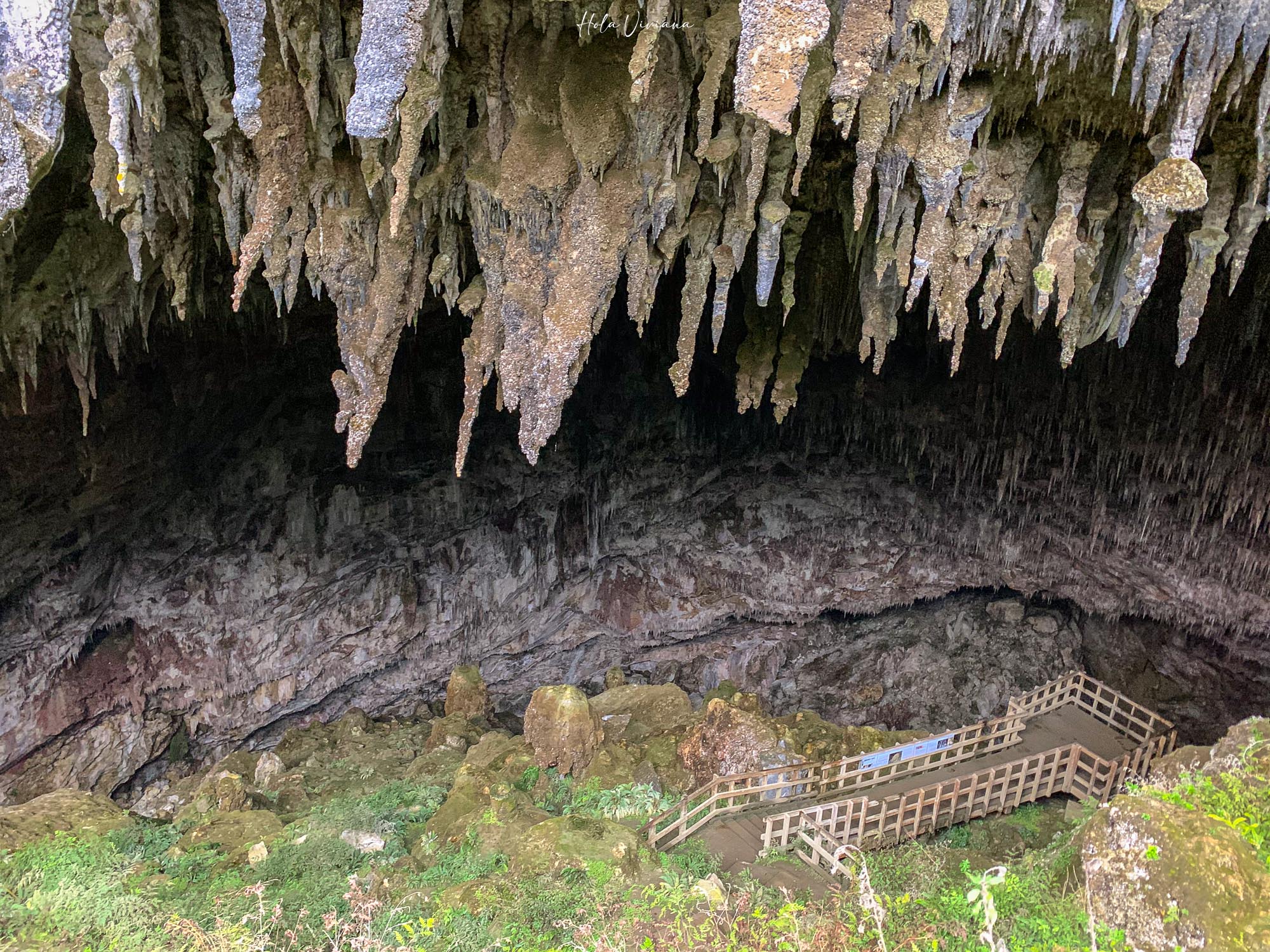 紐西蘭|朝聖 Windows 桌布拍攝地 Wharariki Beach|Golden Bay 二日遊 - 第10張圖 Takaka 景點 Rawhiti Cave 鐘乳石洞