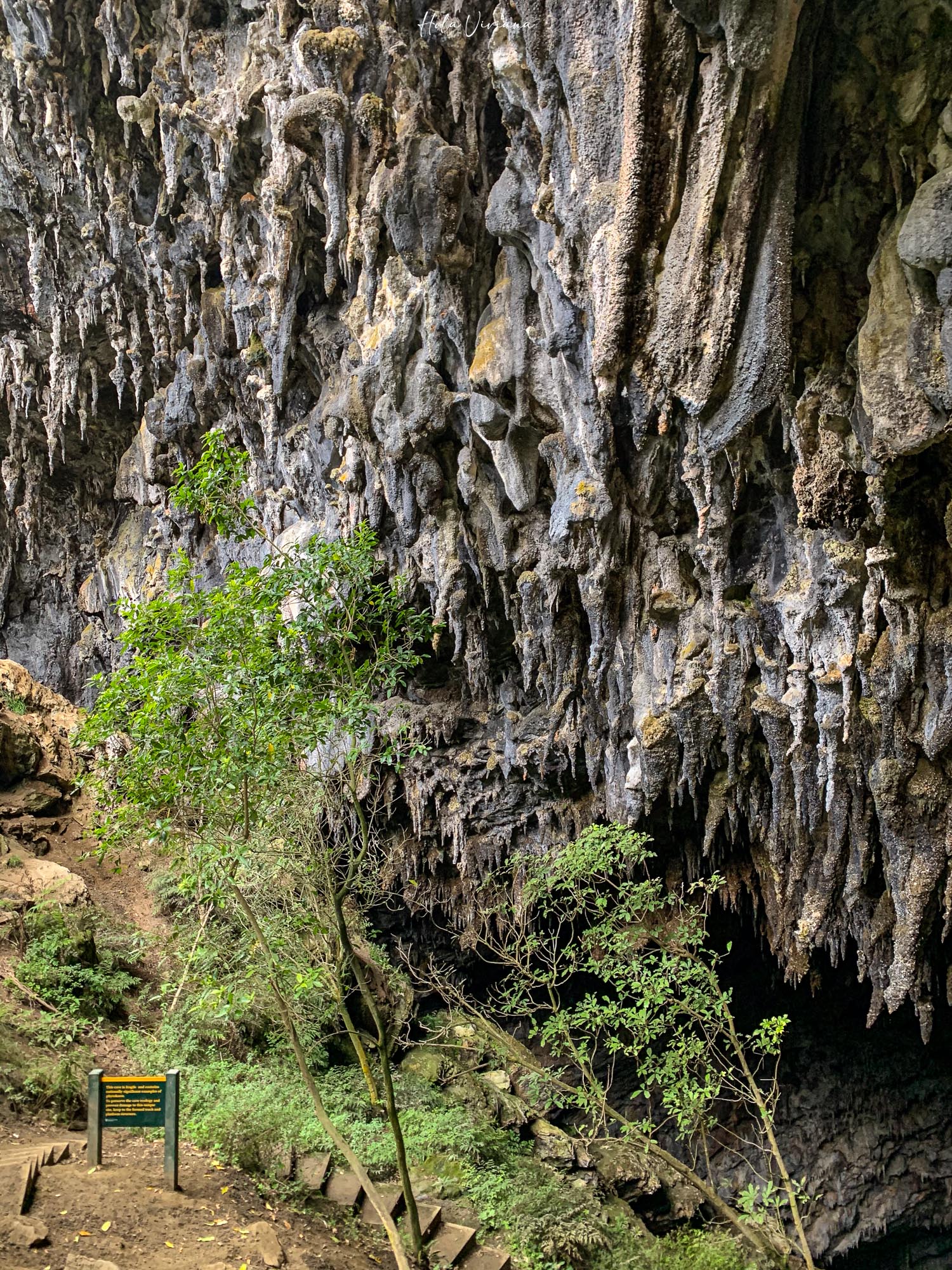 紐西蘭|朝聖 Windows 桌布拍攝地 Wharariki Beach|Golden Bay 二日遊 - 第12張圖 Takaka 景點 Rawhiti Cave 鐘乳石洞