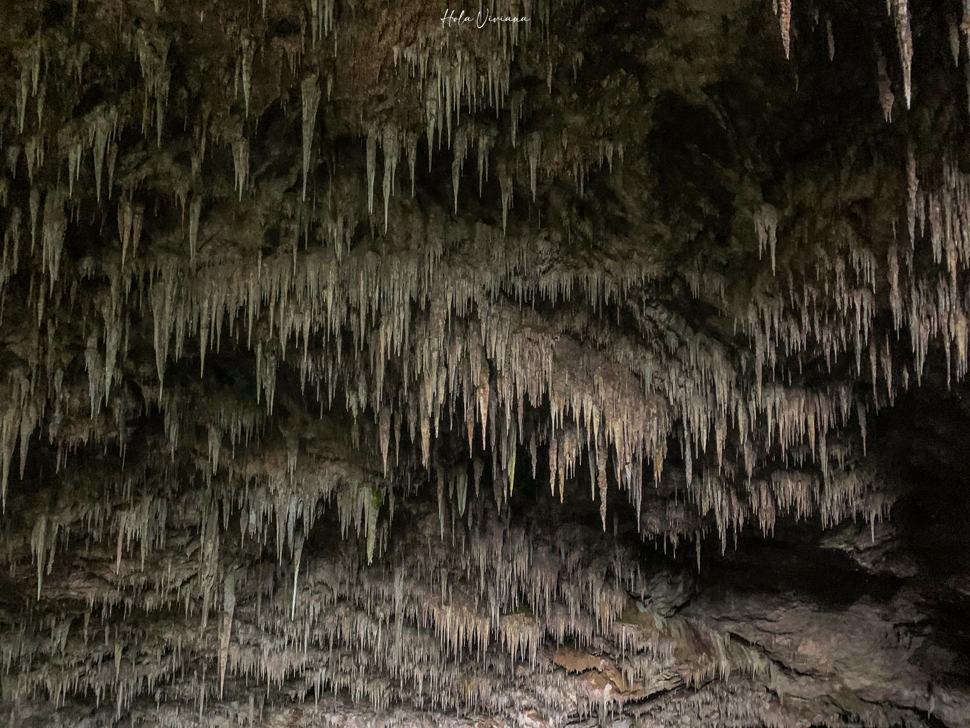 紐西蘭|朝聖 Windows 桌布拍攝地 Wharariki Beach|Golden Bay 二日遊 - 第11張圖 Takaka 景點 Rawhiti Cave 鐘乳石洞