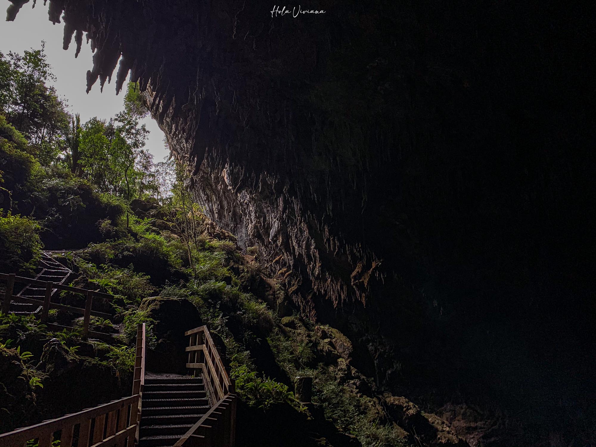 紐西蘭|朝聖 Windows 桌布拍攝地 Wharariki Beach|Golden Bay 二日遊 - 第6張圖 Takaka 景點 Rawhiti Cave 鐘乳石洞