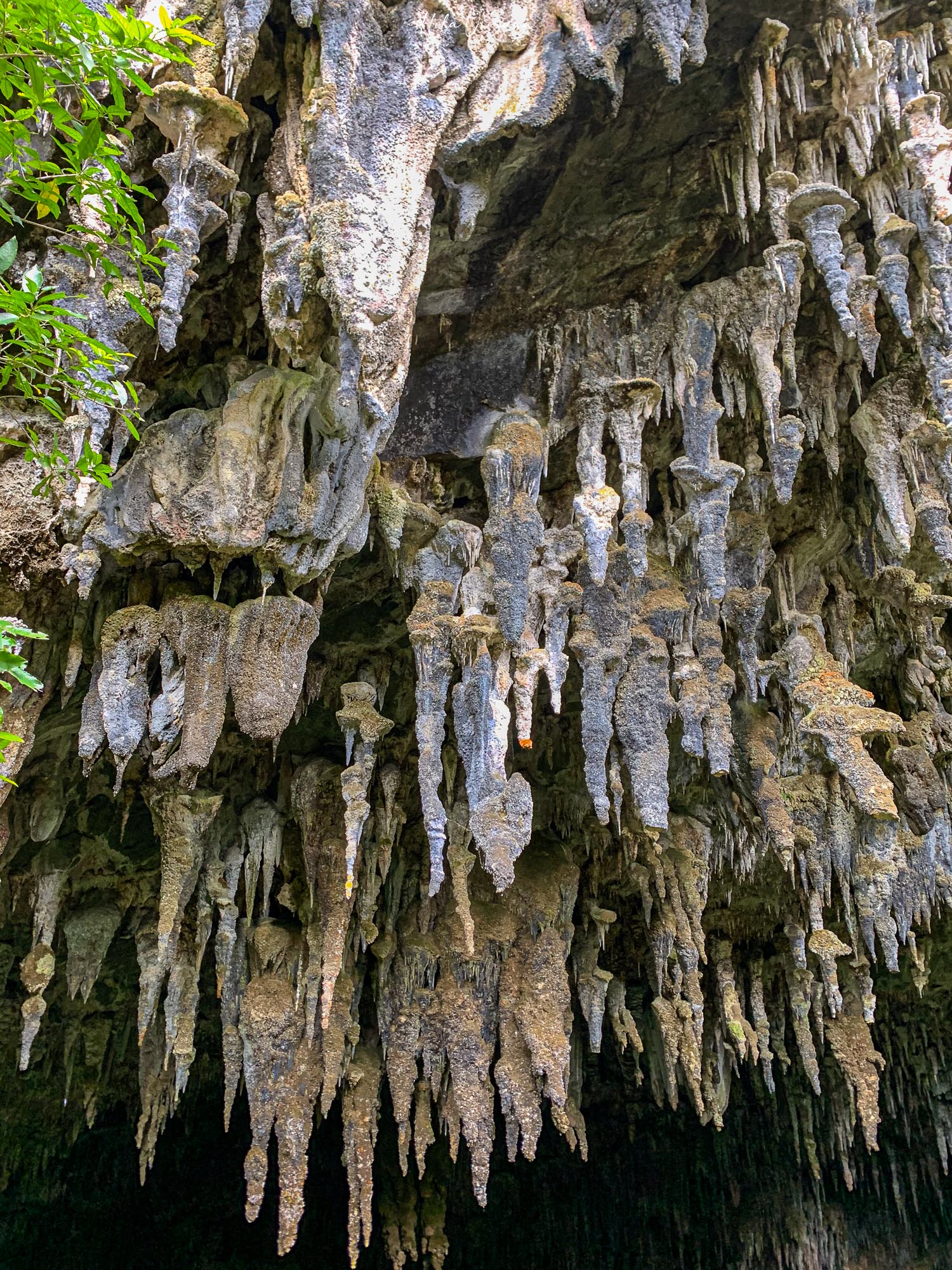 紐西蘭|朝聖 Windows 桌布拍攝地 Wharariki Beach|Golden Bay 二日遊 - 第13張圖 Takaka 景點 Rawhiti Cave 鐘乳石洞