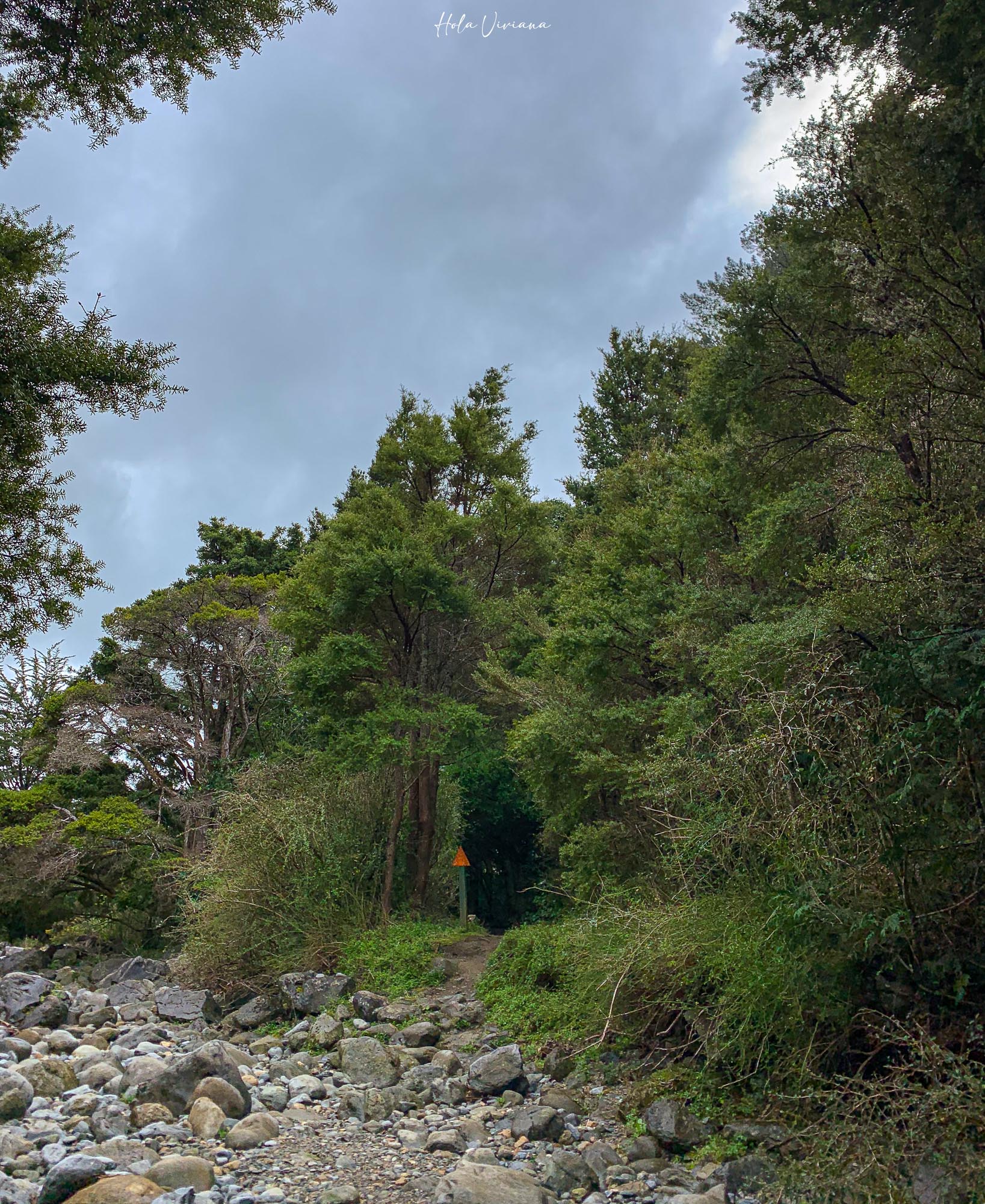紐西蘭|朝聖 Windows 桌布拍攝地 Wharariki Beach|Golden Bay 二日遊 - 第7張圖 Takaka 景點 Rawhiti Cave 鐘乳石洞
