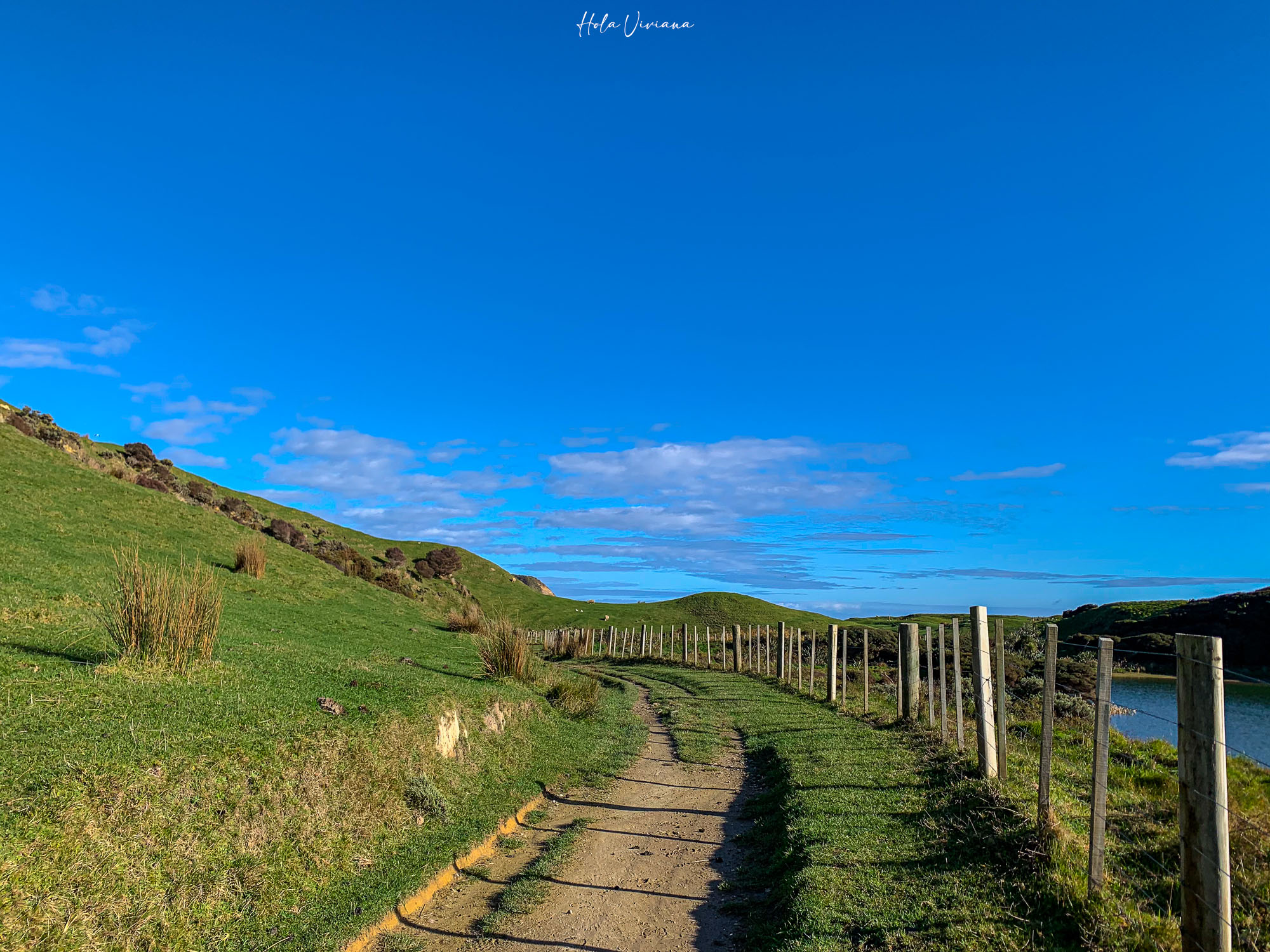 紐西蘭|朝聖 Windows 桌布拍攝地 Wharariki Beach|Golden Bay 二日遊 - 第27張圖 Windows 桌布拍攝地 Wharariki Beach