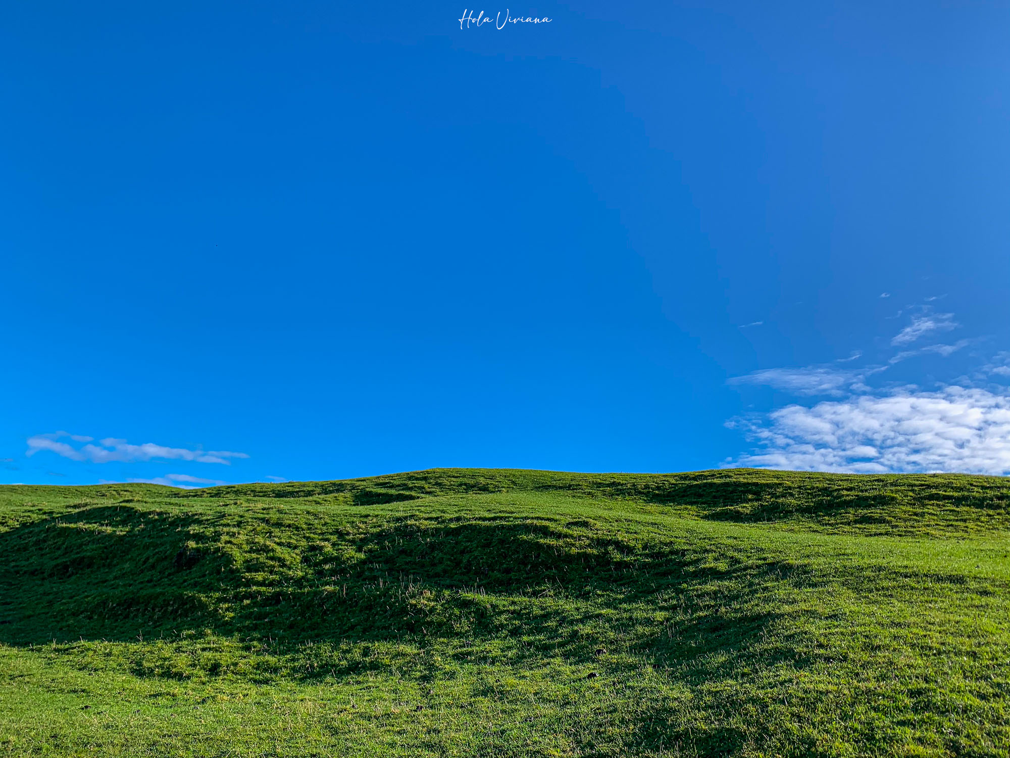 紐西蘭|朝聖 Windows 桌布拍攝地 Wharariki Beach|Golden Bay 二日遊 - 第21張圖 Windows 桌布拍攝地 Wharariki Beach