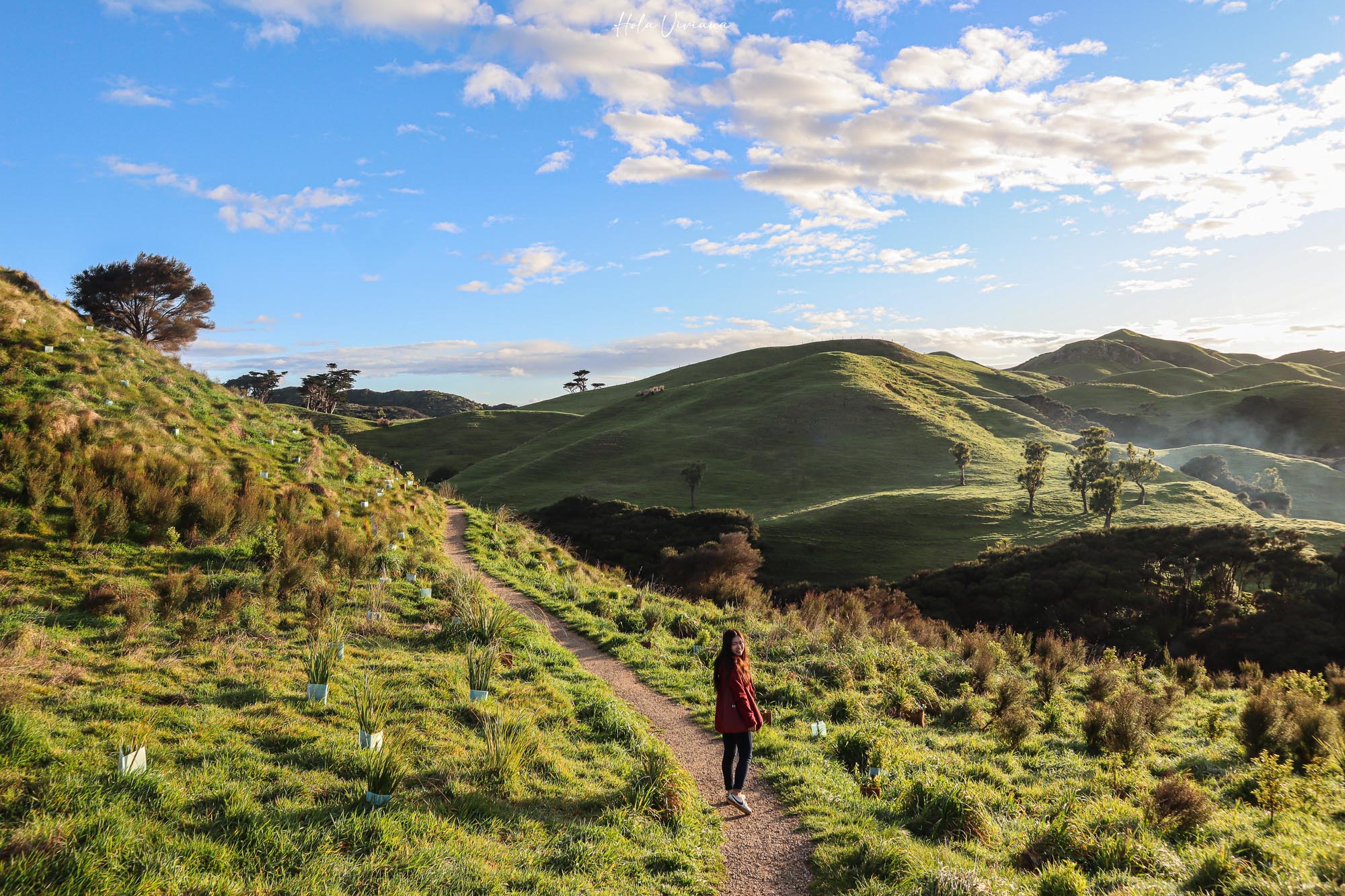 紐西蘭|朝聖 Windows 桌布拍攝地 Wharariki Beach|Golden Bay 二日遊 - 第15張圖 Windows 桌布拍攝地 Wharariki Beach