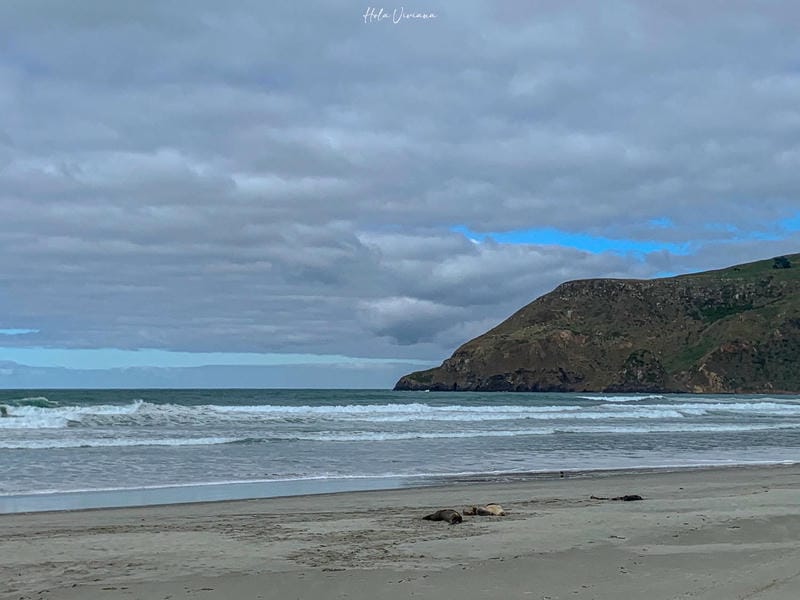 但尼丁景點：Allan's Beach