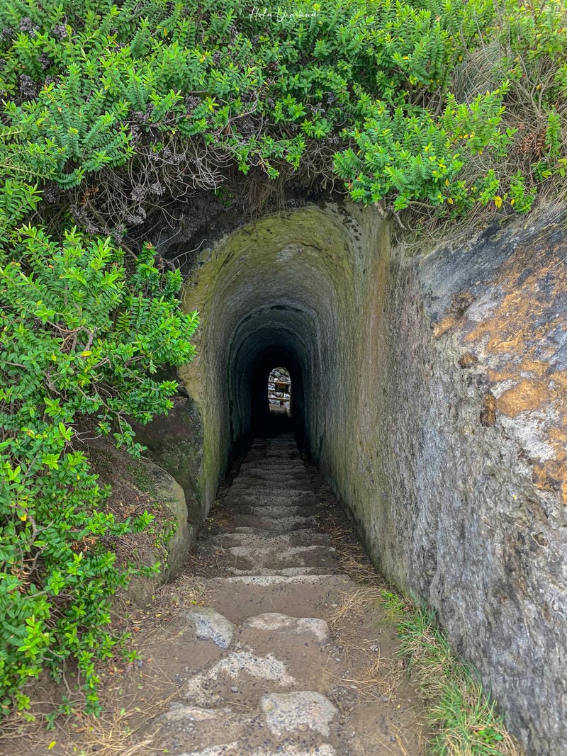 但尼丁景點：隧道海灘 tunnel beach