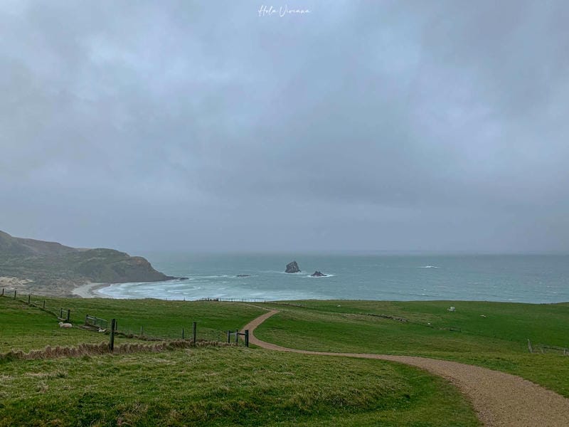 但尼丁景點：sandfly bay