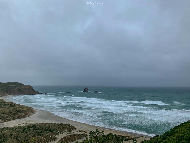 但尼丁景點：sandfly bay