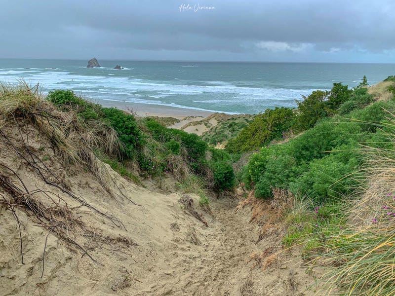 但尼丁景點：sandfly bay