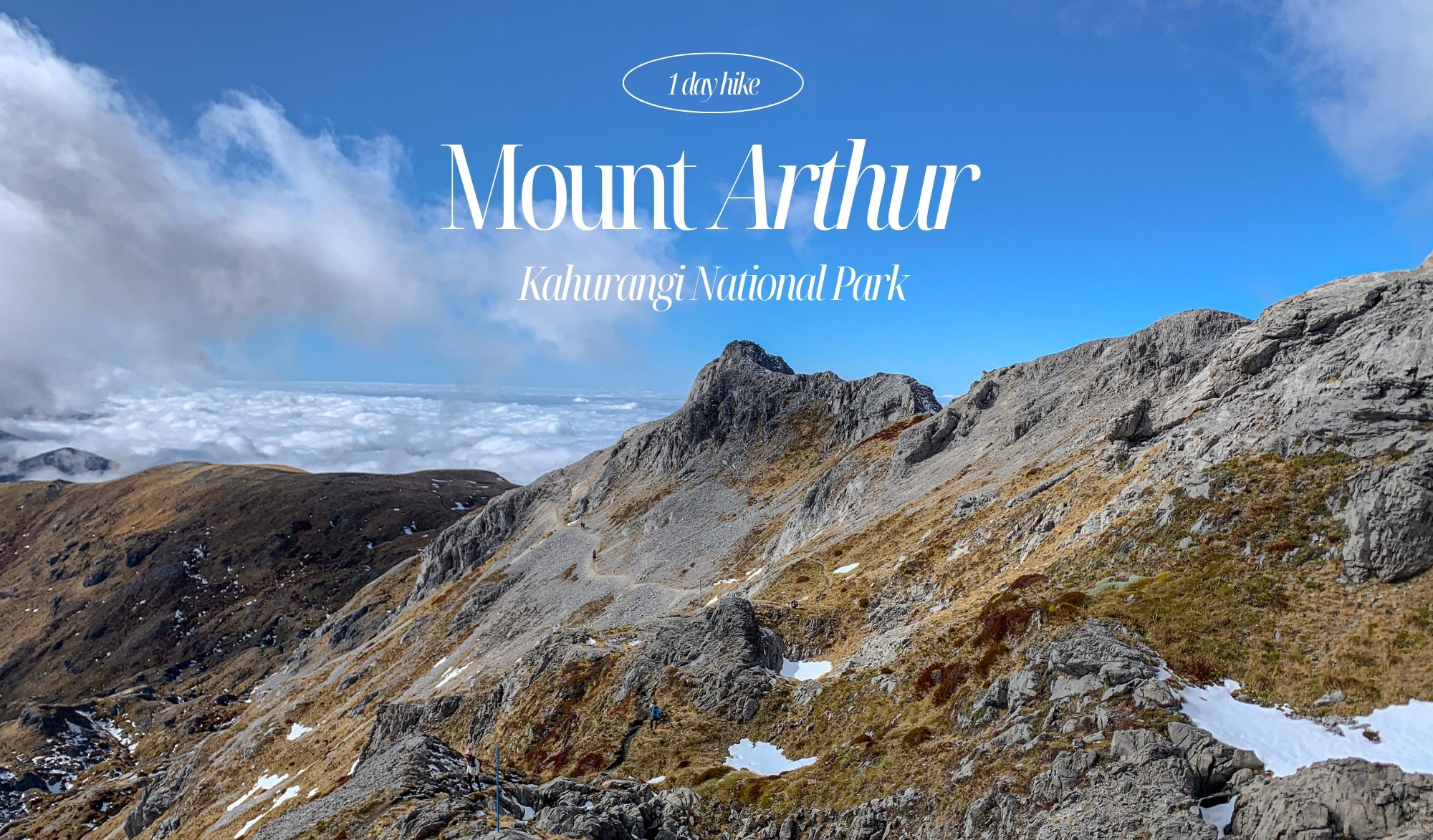 紐西蘭健行 Mount Arthur Summit Route