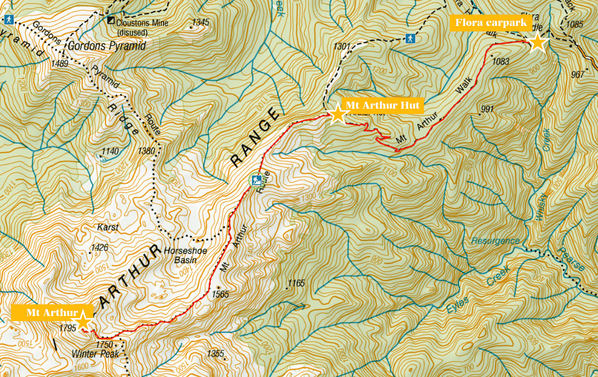 紐西蘭|南島| Mount Arthur Summit Route – Motueka 推薦健行步道 - 第1張圖