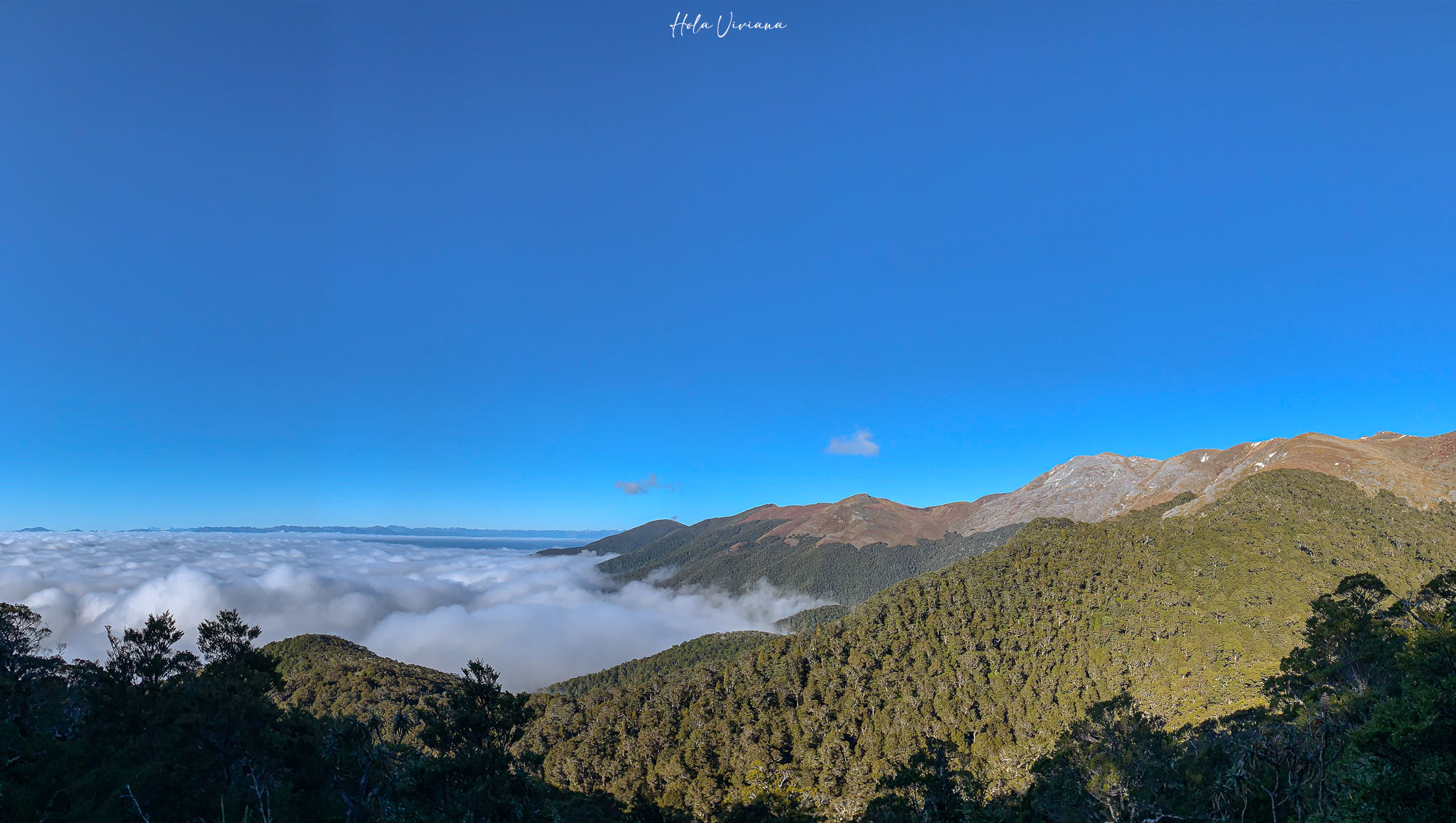 紐西蘭|Mt Arthur 登山攻略:步道資訊、交通方式與實際健行分享 - 第5張圖 紐西蘭健行 Mount Arthur Summit Route