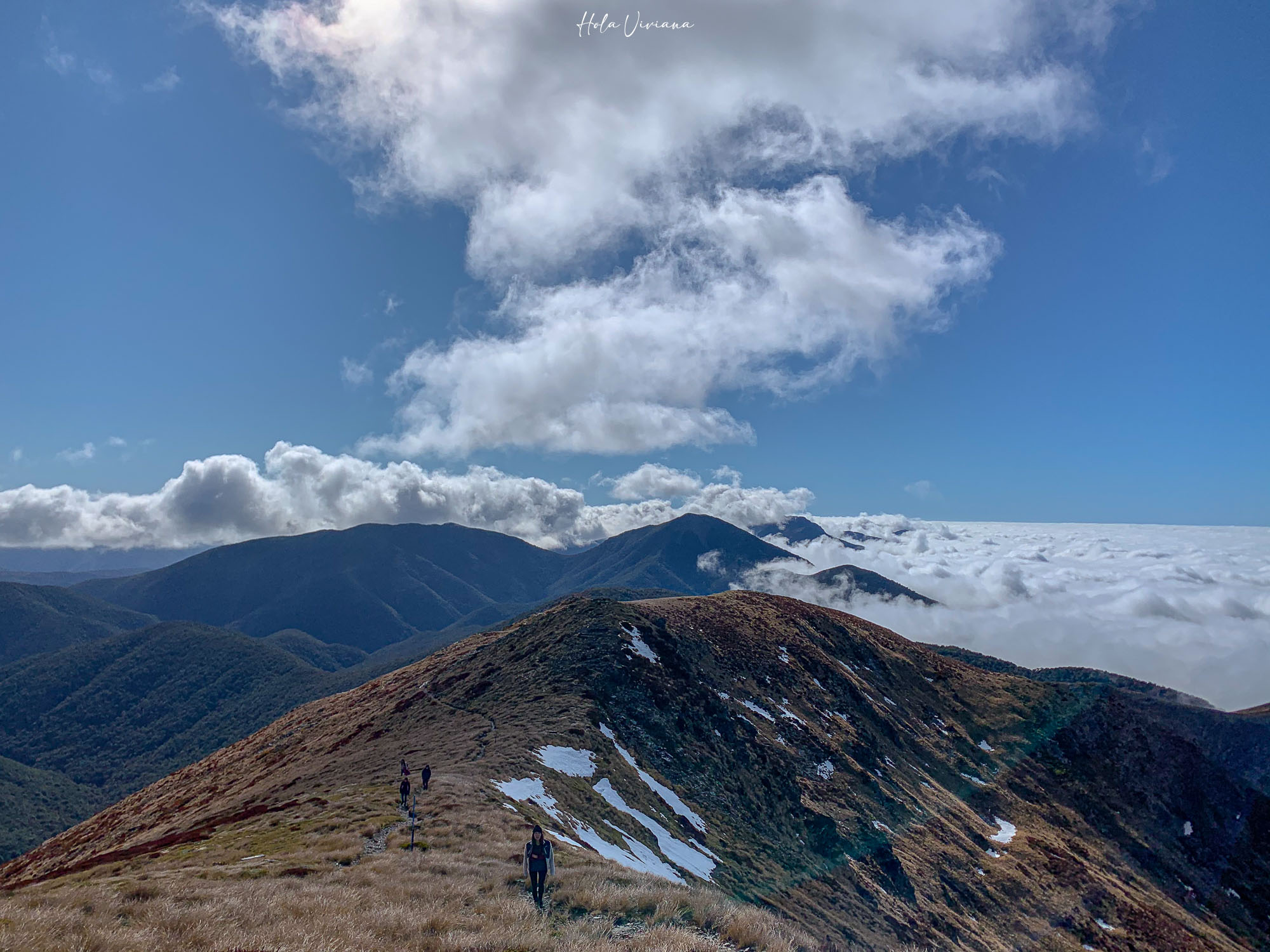 紐西蘭|Mt Arthur 登山攻略:步道資訊、交通方式與實際健行分享 - 第7張圖 紐西蘭健行 Mount Arthur Summit Route