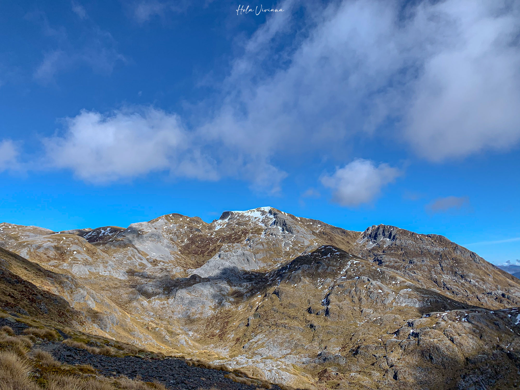 紐西蘭|Mt Arthur 登山攻略:步道資訊、交通方式與實際健行分享 - 第8張圖 紐西蘭健行 Mount Arthur Summit Route