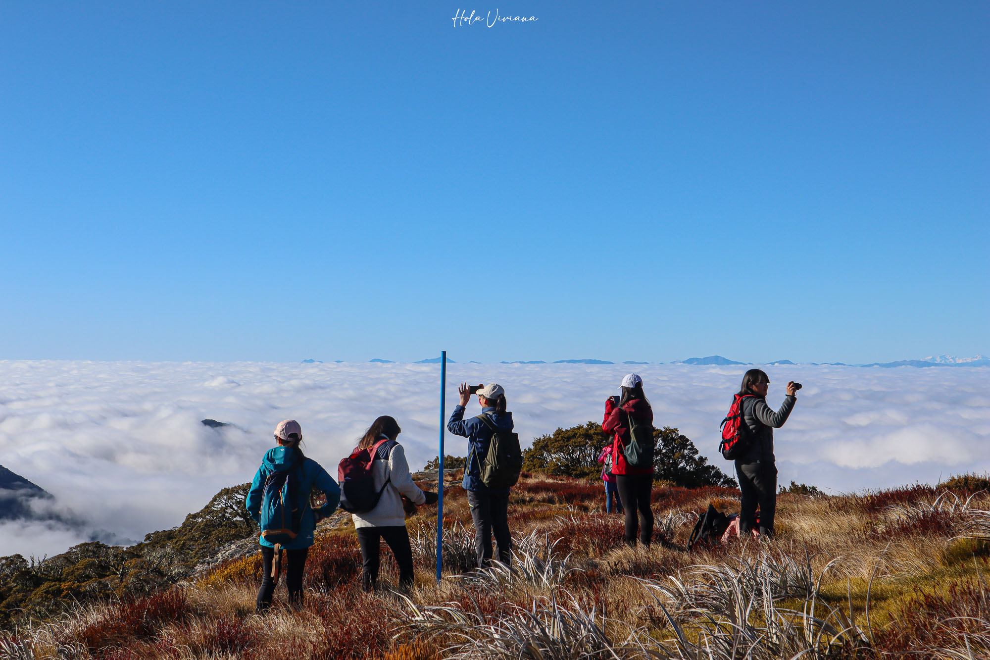 紐西蘭|Mt Arthur 登山攻略:步道資訊、交通方式與實際健行分享 - 第4張圖 紐西蘭健行 Mount Arthur Summit Route