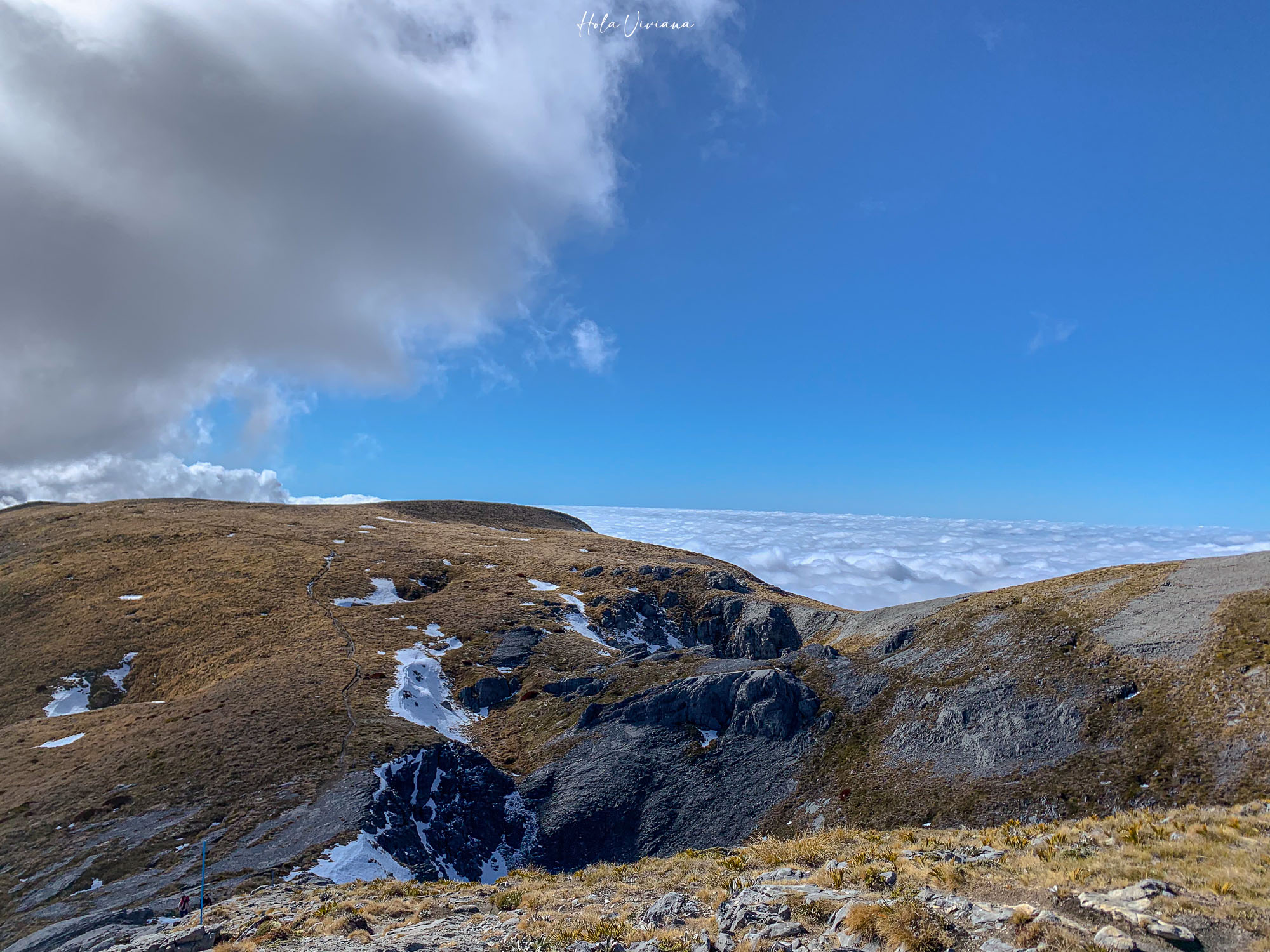 紐西蘭|Mt Arthur 登山攻略:步道資訊、交通方式與實際健行分享 - 第13張圖 紐西蘭健行 Mount Arthur Summit Route