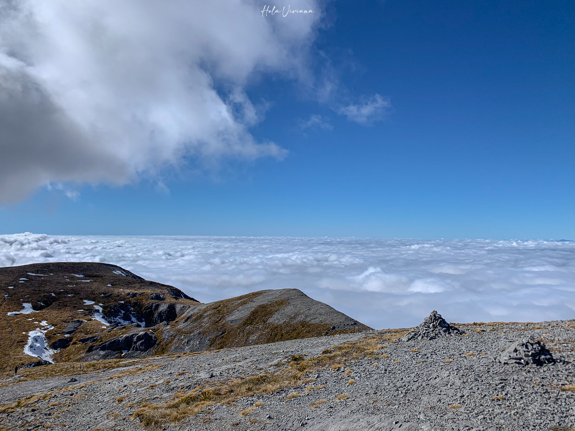 紐西蘭|Mt Arthur 登山攻略:步道資訊、交通方式與實際健行分享 - 第14張圖 紐西蘭健行 Mount Arthur Summit Route