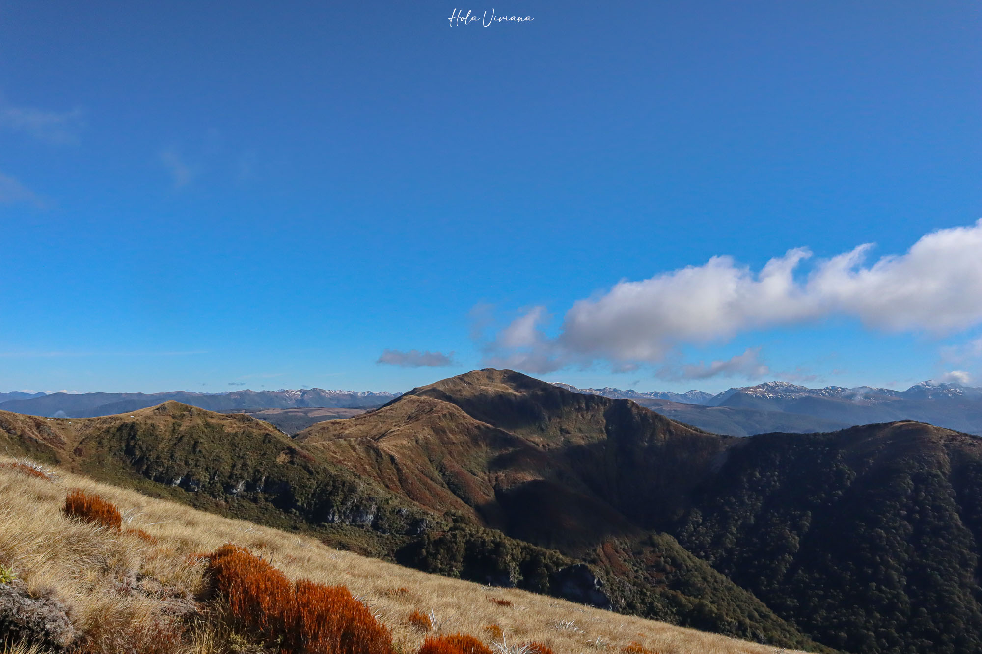 紐西蘭|Mt Arthur 登山攻略:步道資訊、交通方式與實際健行分享 - 第6張圖 紐西蘭健行 Mount Arthur Summit Route