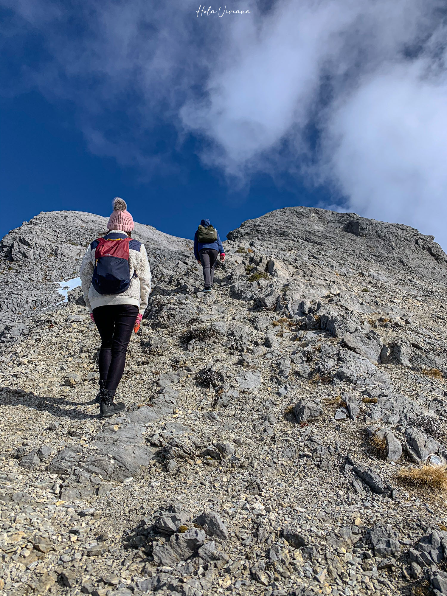 紐西蘭|Mt Arthur 登山攻略:步道資訊、交通方式與實際健行分享 - 第16張圖 紐西蘭健行 Mount Arthur Summit Route