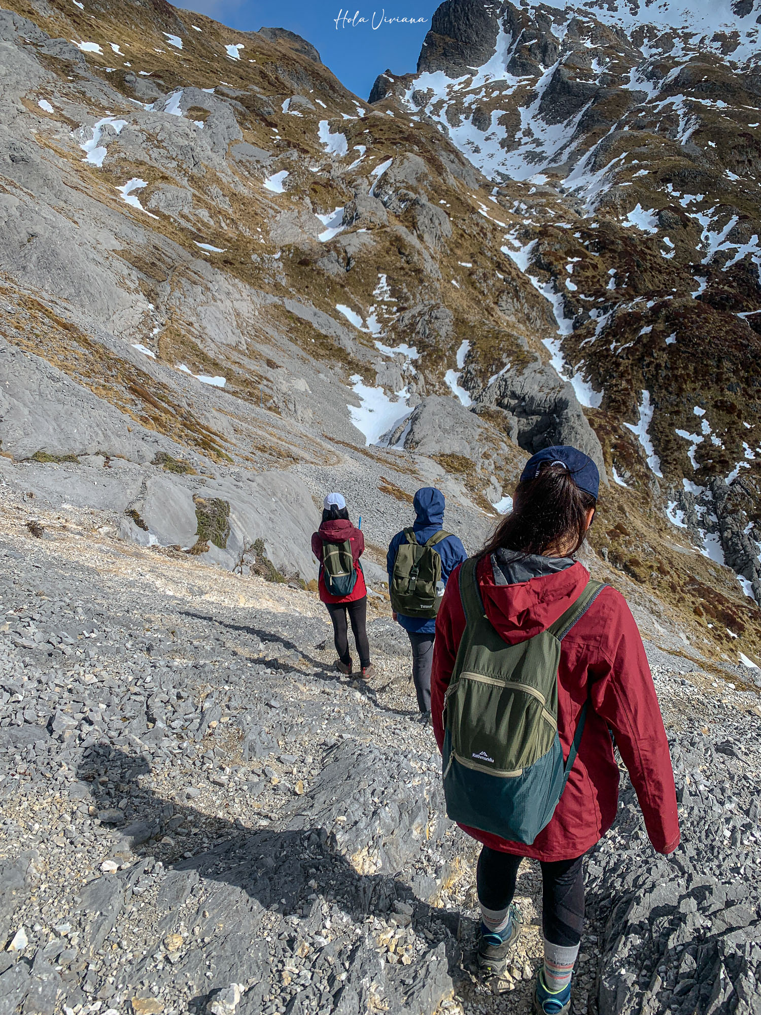 紐西蘭|Mt Arthur 登山攻略:步道資訊、交通方式與實際健行分享 - 第18張圖 紐西蘭健行 Mount Arthur Summit Route