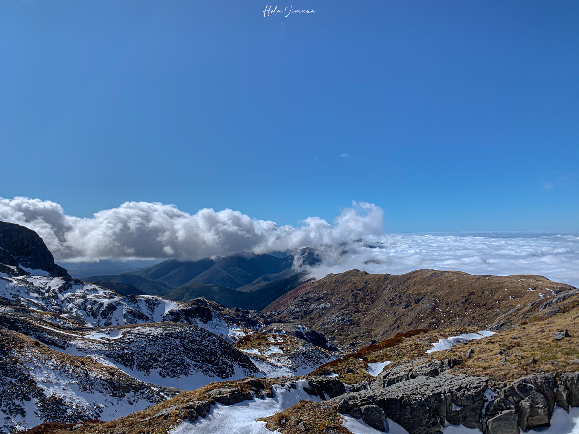 紐西蘭|Mt Arthur 登山攻略:步道資訊、交通方式與實際健行分享 - 第20張圖 紐西蘭健行 Mount Arthur Summit Route
