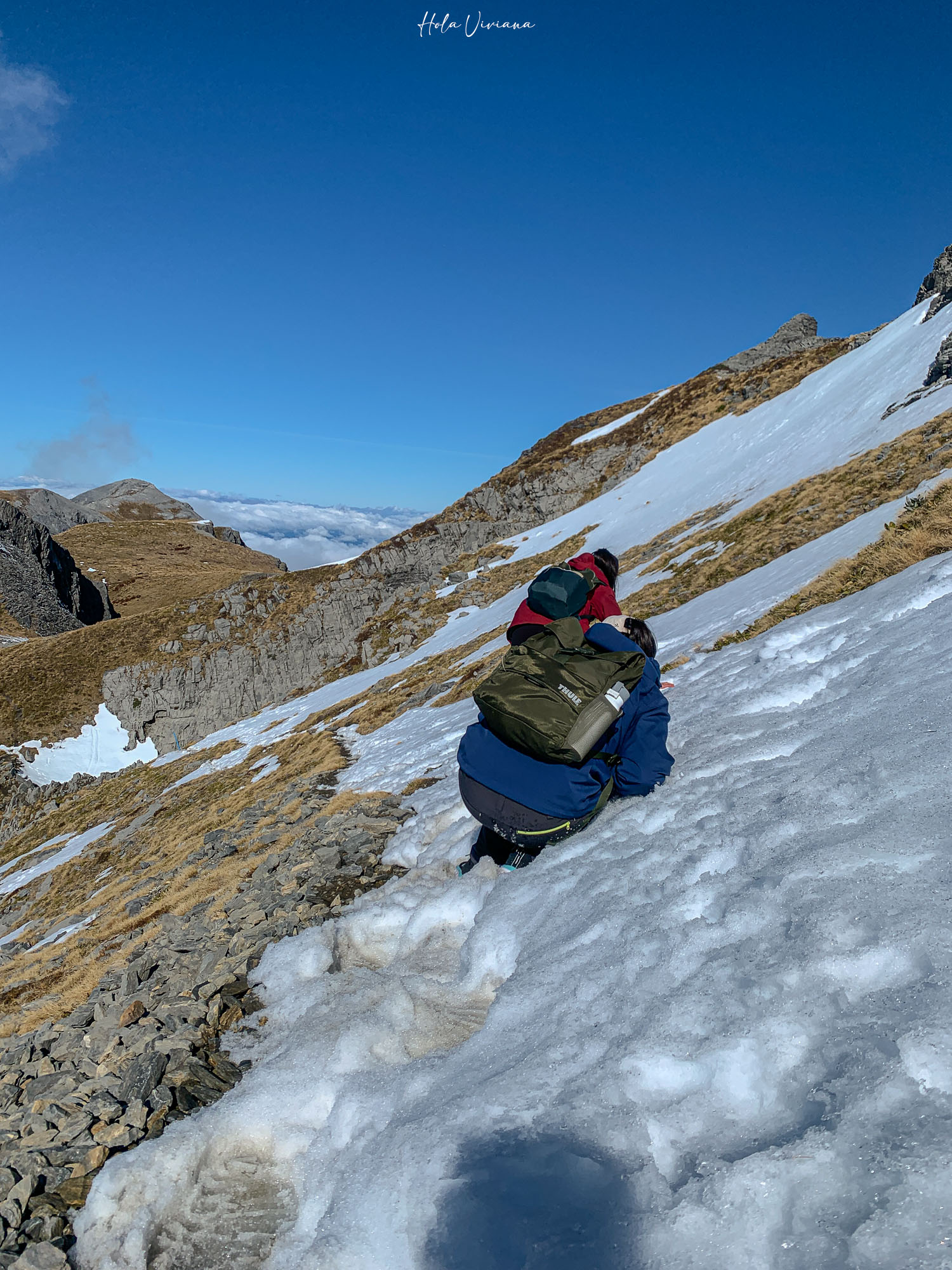 紐西蘭|Mt Arthur 登山攻略:步道資訊、交通方式與實際健行分享 - 第21張圖 紐西蘭健行 Mount Arthur Summit Route