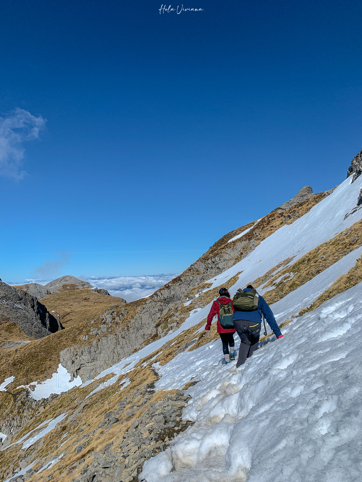 紐西蘭|Mt Arthur 登山攻略:步道資訊、交通方式與實際健行分享 - 第22張圖 紐西蘭健行 Mount Arthur Summit Route
