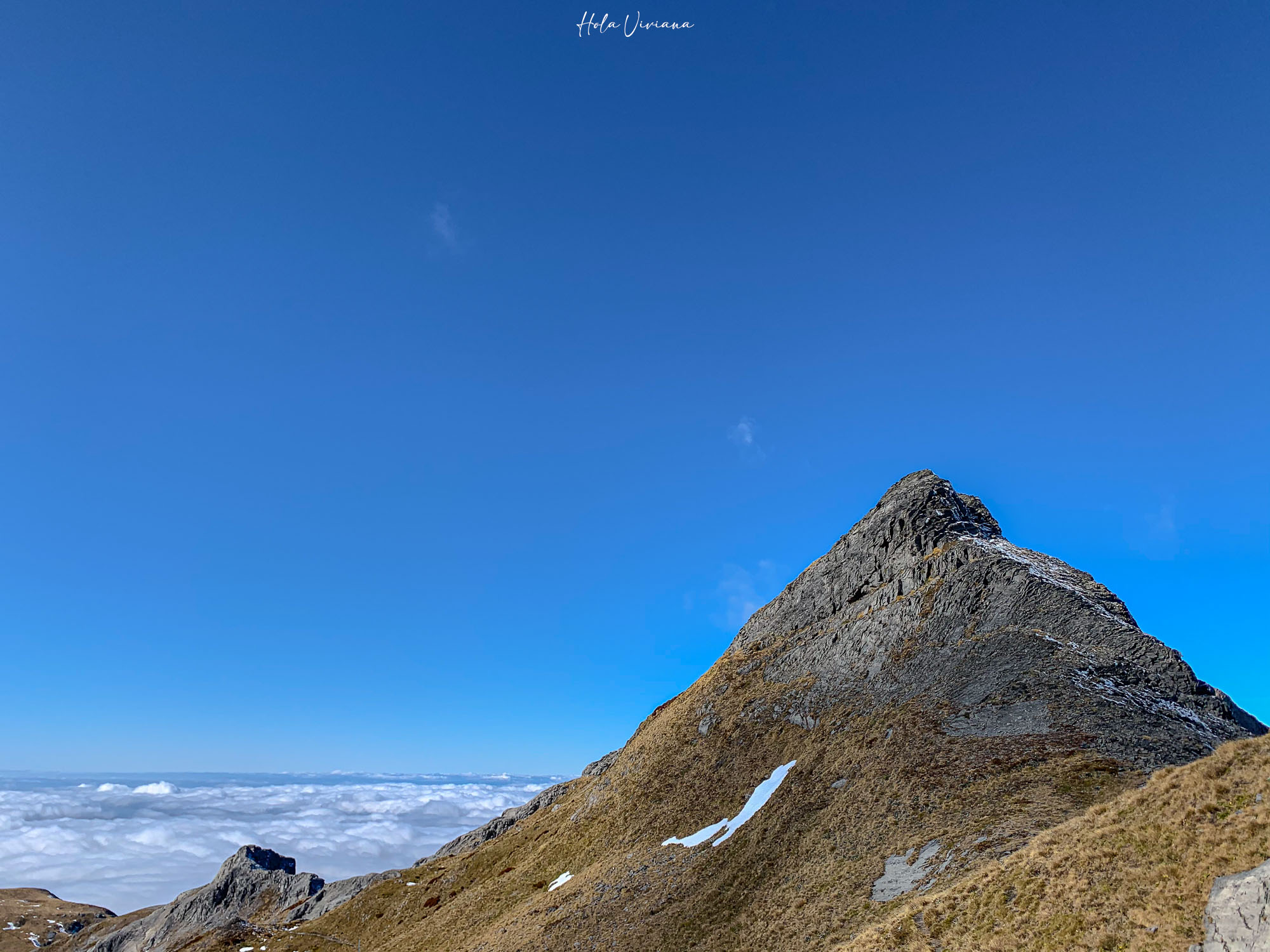紐西蘭|Mt Arthur 登山攻略:步道資訊、交通方式與實際健行分享 - 第24張圖 紐西蘭健行 Mount Arthur Summit Route