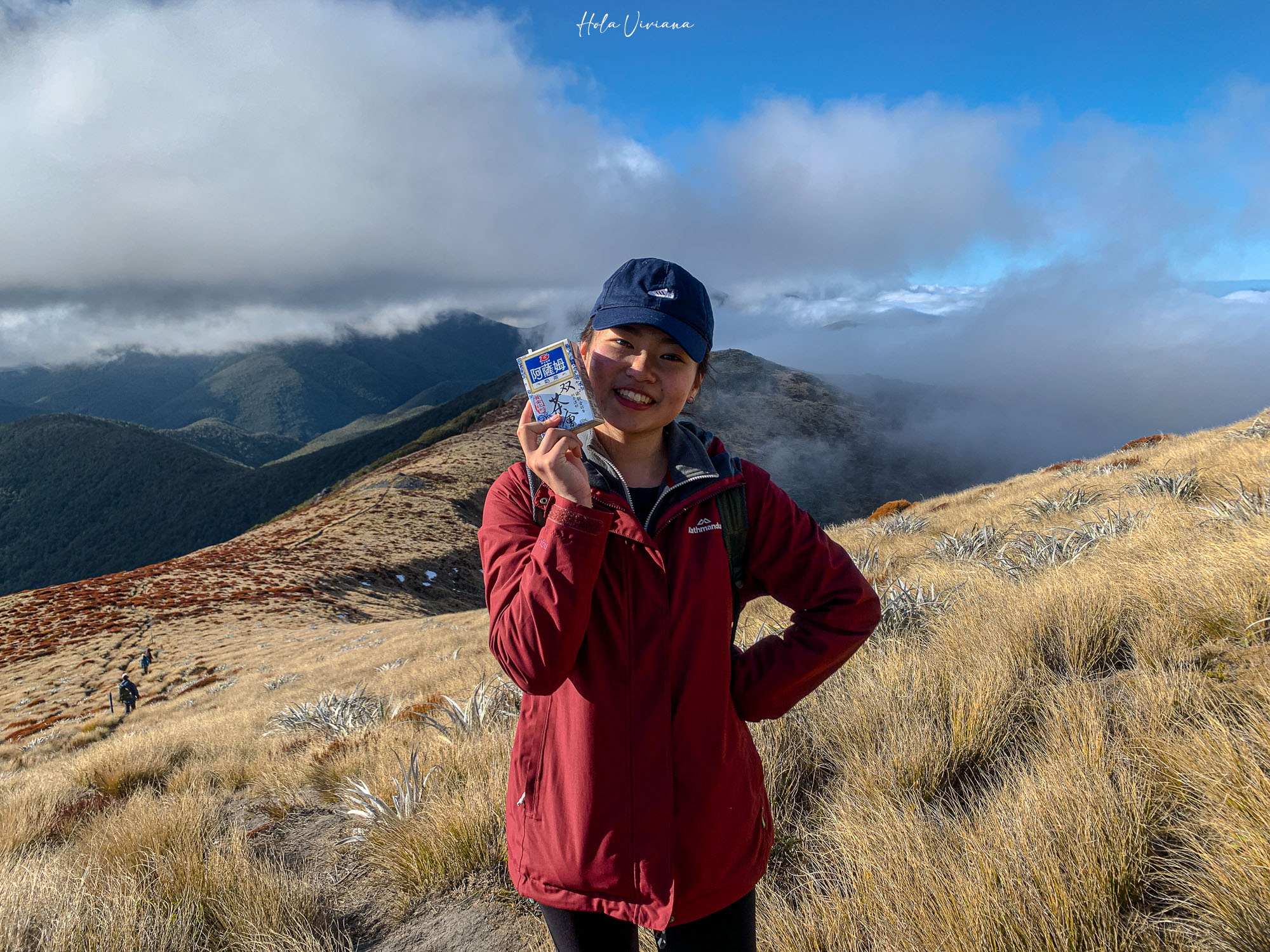 紐西蘭|Mt Arthur 登山攻略:步道資訊、交通方式與實際健行分享 - 第25張圖 紐西蘭健行 Mount Arthur Summit Route