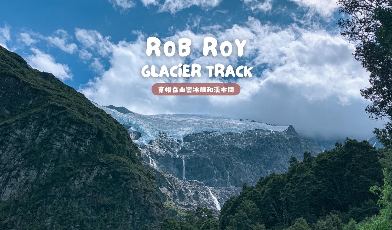 Rob Roy Glacier Track 羅布羅伊冰河步道