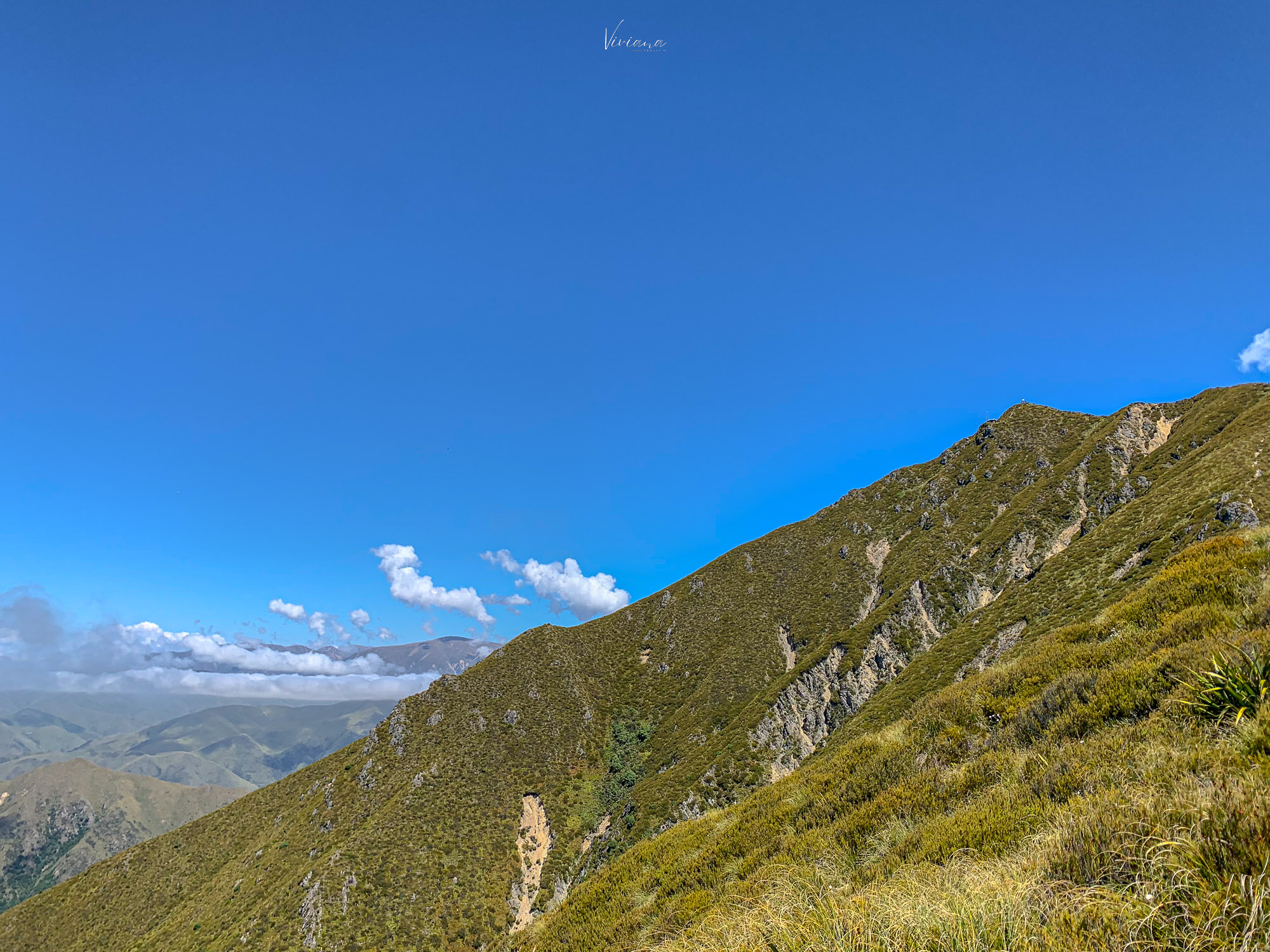 紐西蘭|到底還要爬多久?Little Mt Peel 步道攻略、一覽坎特伯雷平原 - 第7張圖 紐西蘭步道 little mt peel
