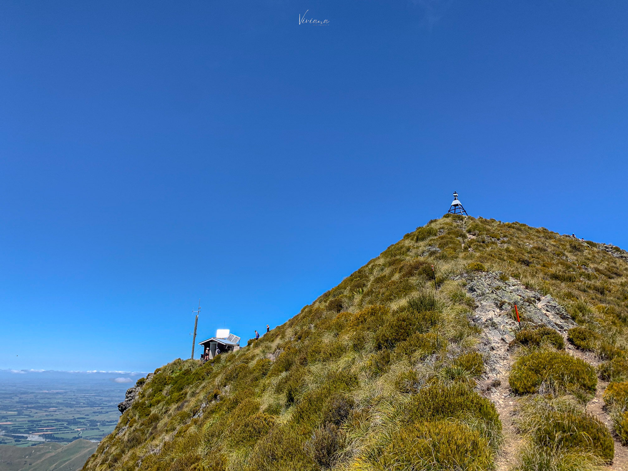 紐西蘭|到底還要爬多久?Little Mt Peel 步道攻略、一覽坎特伯雷平原 - 第11張圖 紐西蘭步道 little mt peel