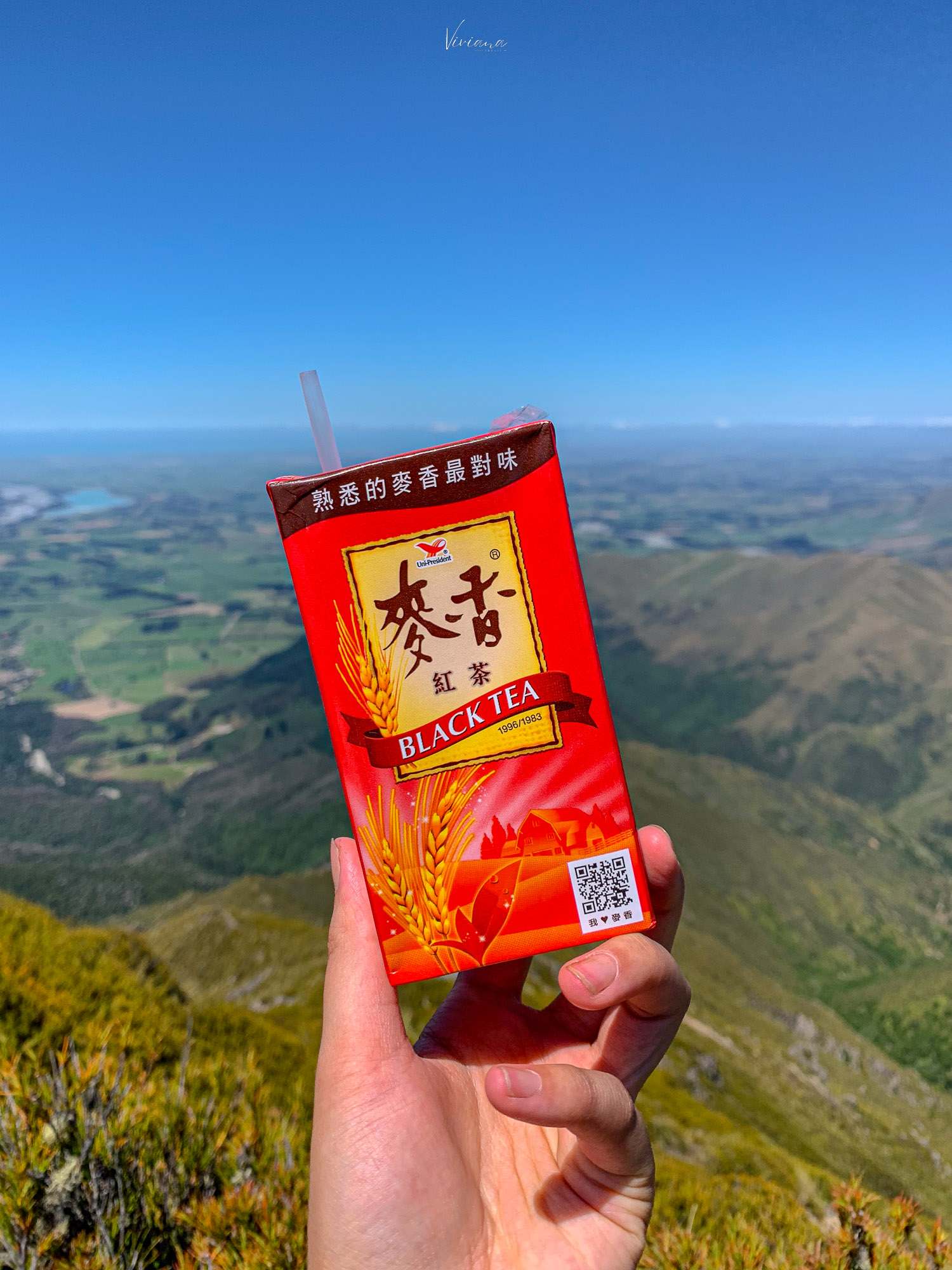 紐西蘭|到底還要爬多久?Little Mt Peel 步道攻略、一覽坎特伯雷平原 - 第14張圖 紐西蘭步道 little mt peel