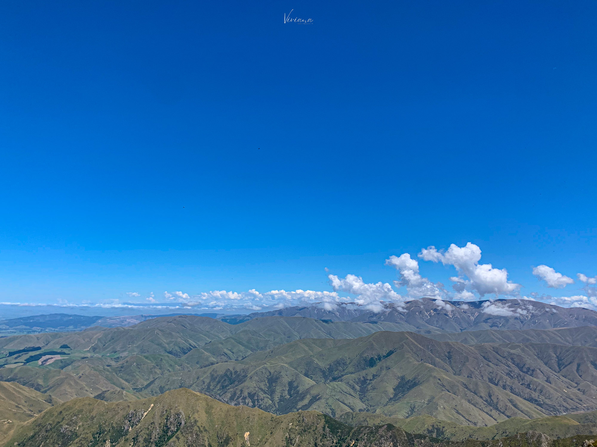 紐西蘭|到底還要爬多久?Little Mt Peel 步道攻略、一覽坎特伯雷平原 - 第8張圖 紐西蘭步道 little mt peel