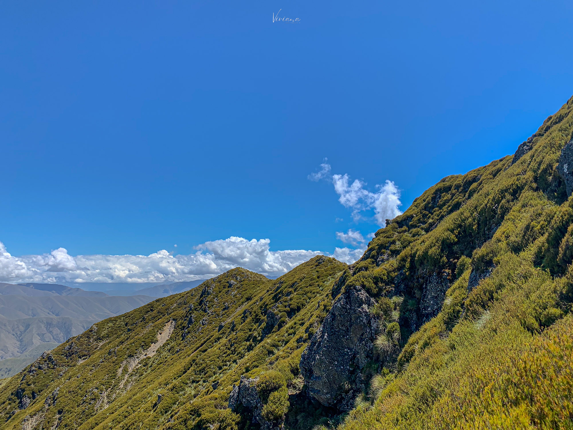 紐西蘭|到底還要爬多久?Little Mt Peel 步道攻略、一覽坎特伯雷平原 - 第17張圖 紐西蘭步道 little mt peel