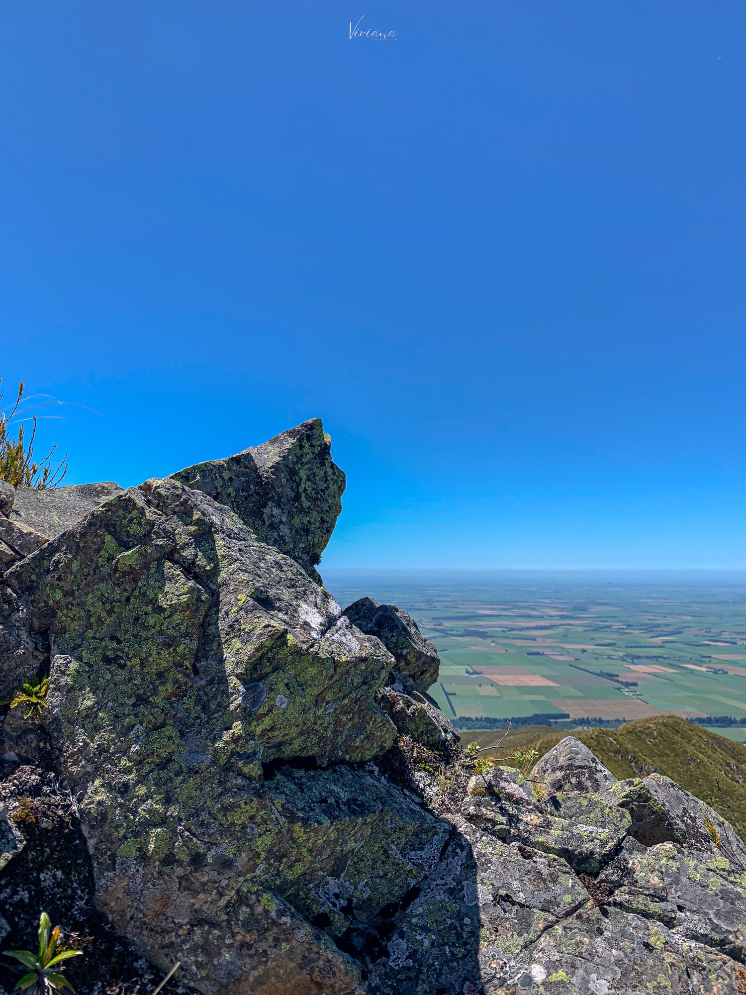 紐西蘭|到底還要爬多久?Little Mt Peel 步道攻略、一覽坎特伯雷平原 - 第21張圖 紐西蘭步道 little mt peel