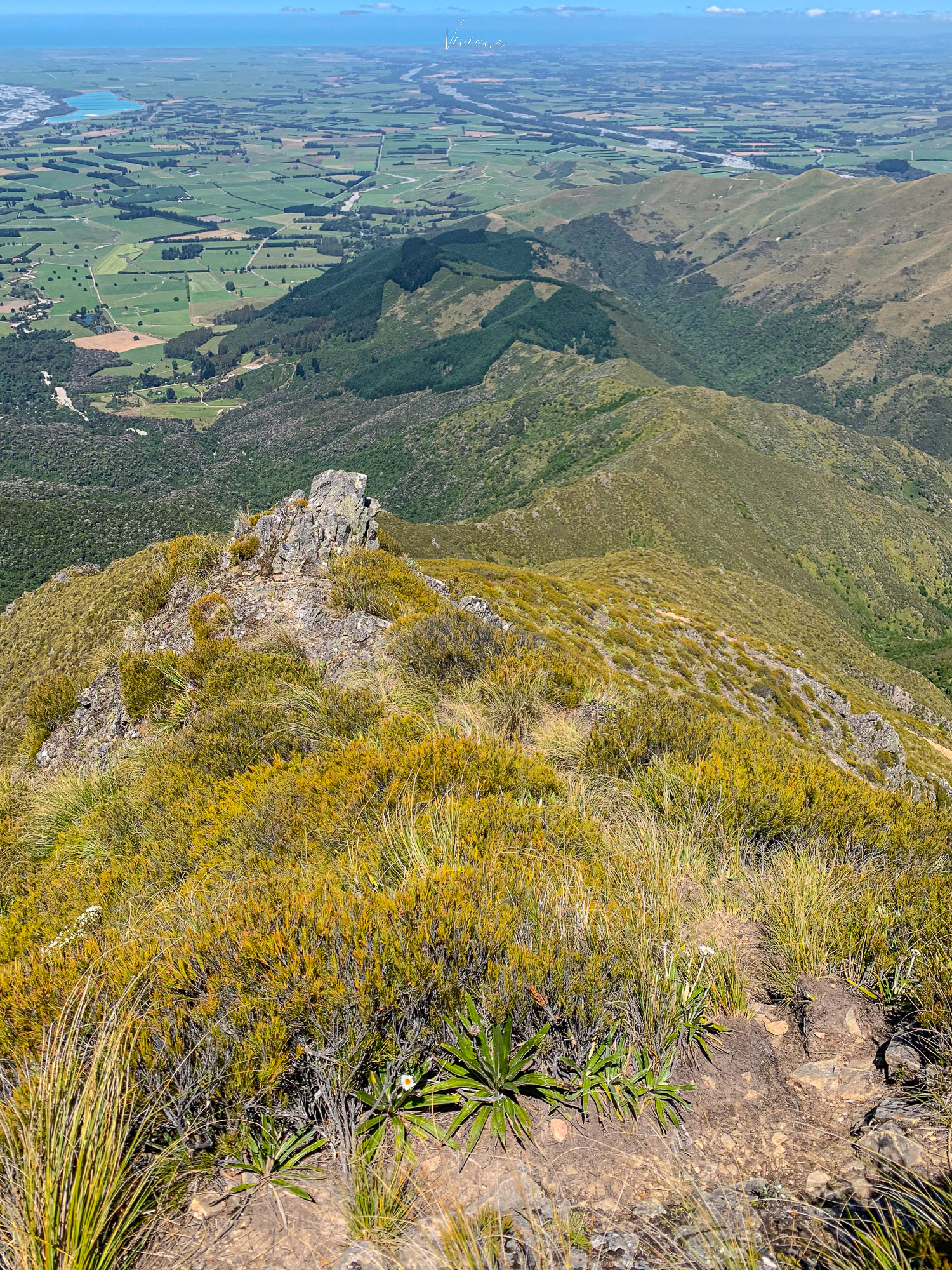 紐西蘭|到底還要爬多久?Little Mt Peel 步道攻略、一覽坎特伯雷平原 - 第20張圖 紐西蘭步道 little mt peel