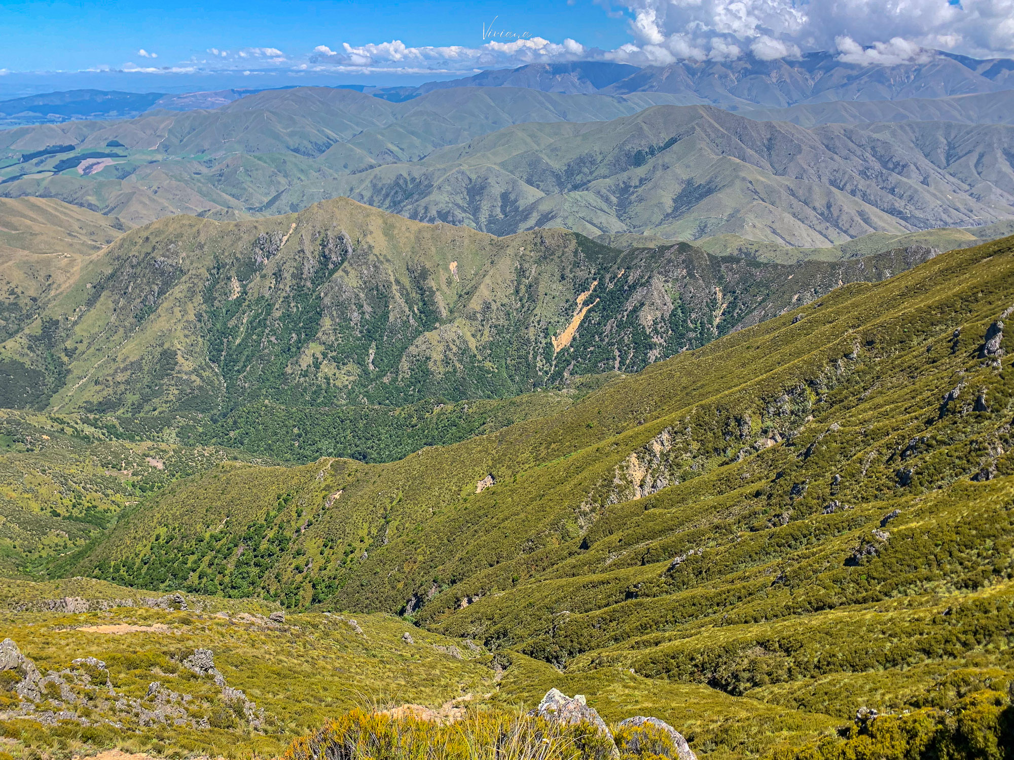 紐西蘭|到底還要爬多久?Little Mt Peel 步道攻略、一覽坎特伯雷平原 - 第19張圖 紐西蘭步道 little mt peel