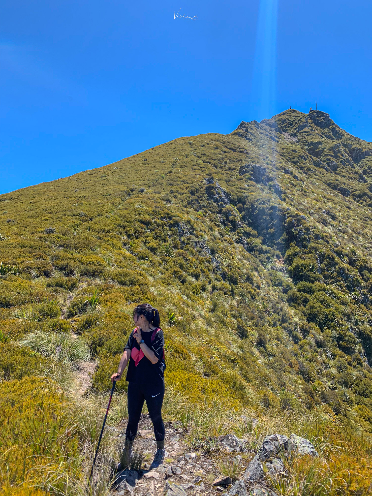 紐西蘭|到底還要爬多久?Little Mt Peel 步道攻略、一覽坎特伯雷平原 - 第26張圖 紐西蘭步道 little mt peel
