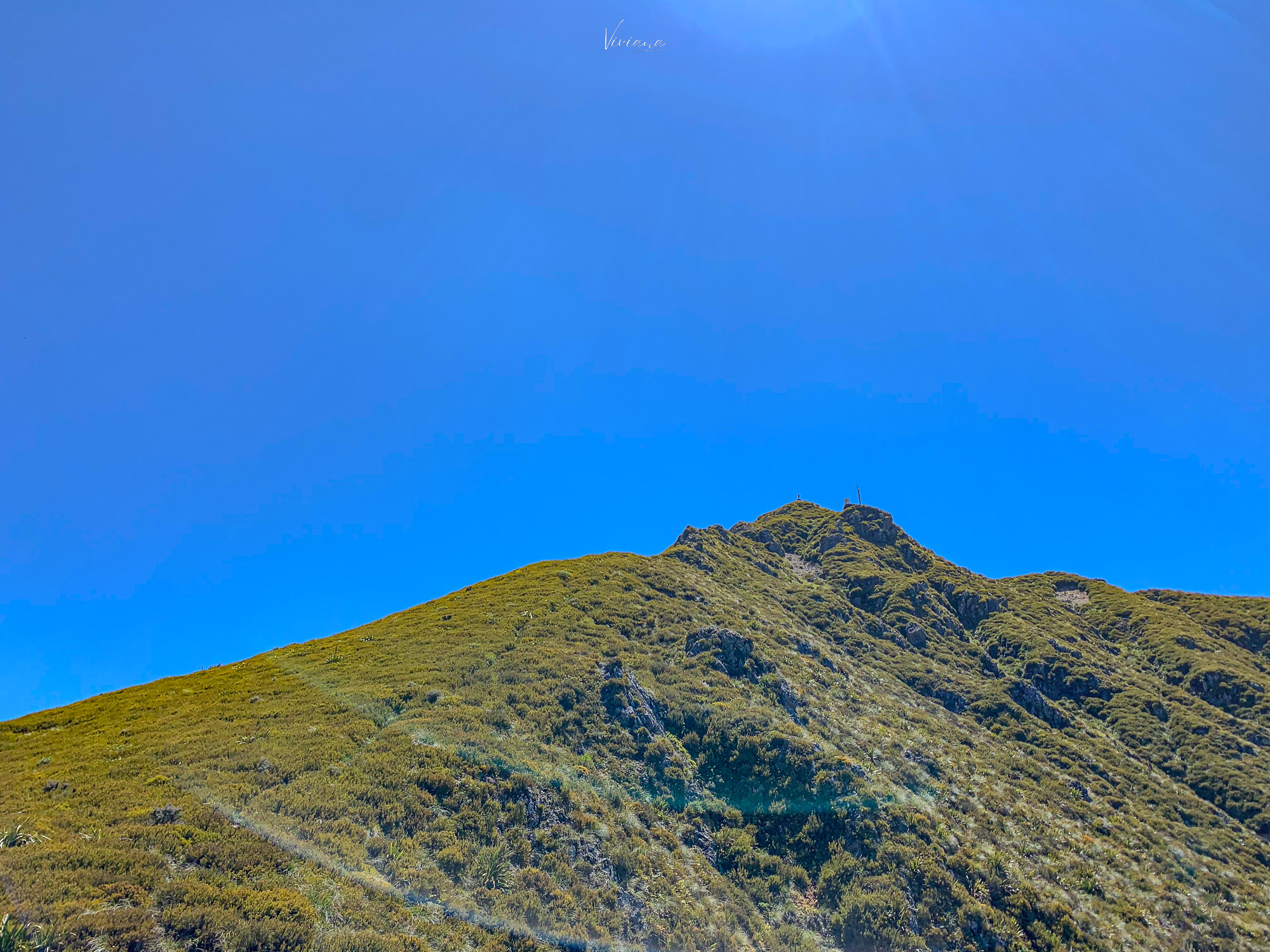 紐西蘭|到底還要爬多久?Little Mt Peel 步道攻略、一覽坎特伯雷平原 - 第27張圖 紐西蘭步道 little mt peel
