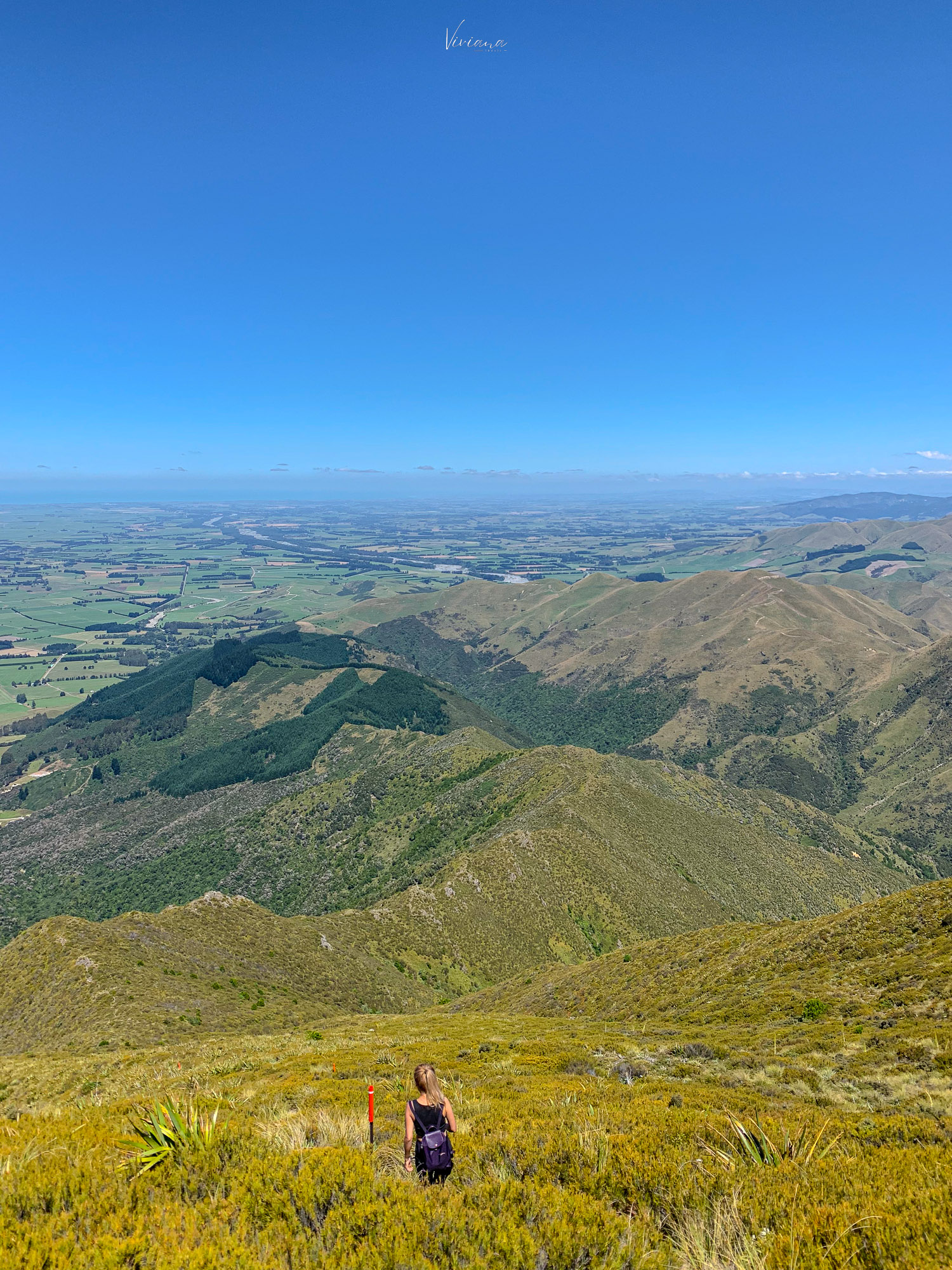 紐西蘭|到底還要爬多久?Little Mt Peel 步道攻略、一覽坎特伯雷平原 - 第29張圖 紐西蘭步道 little mt peel
